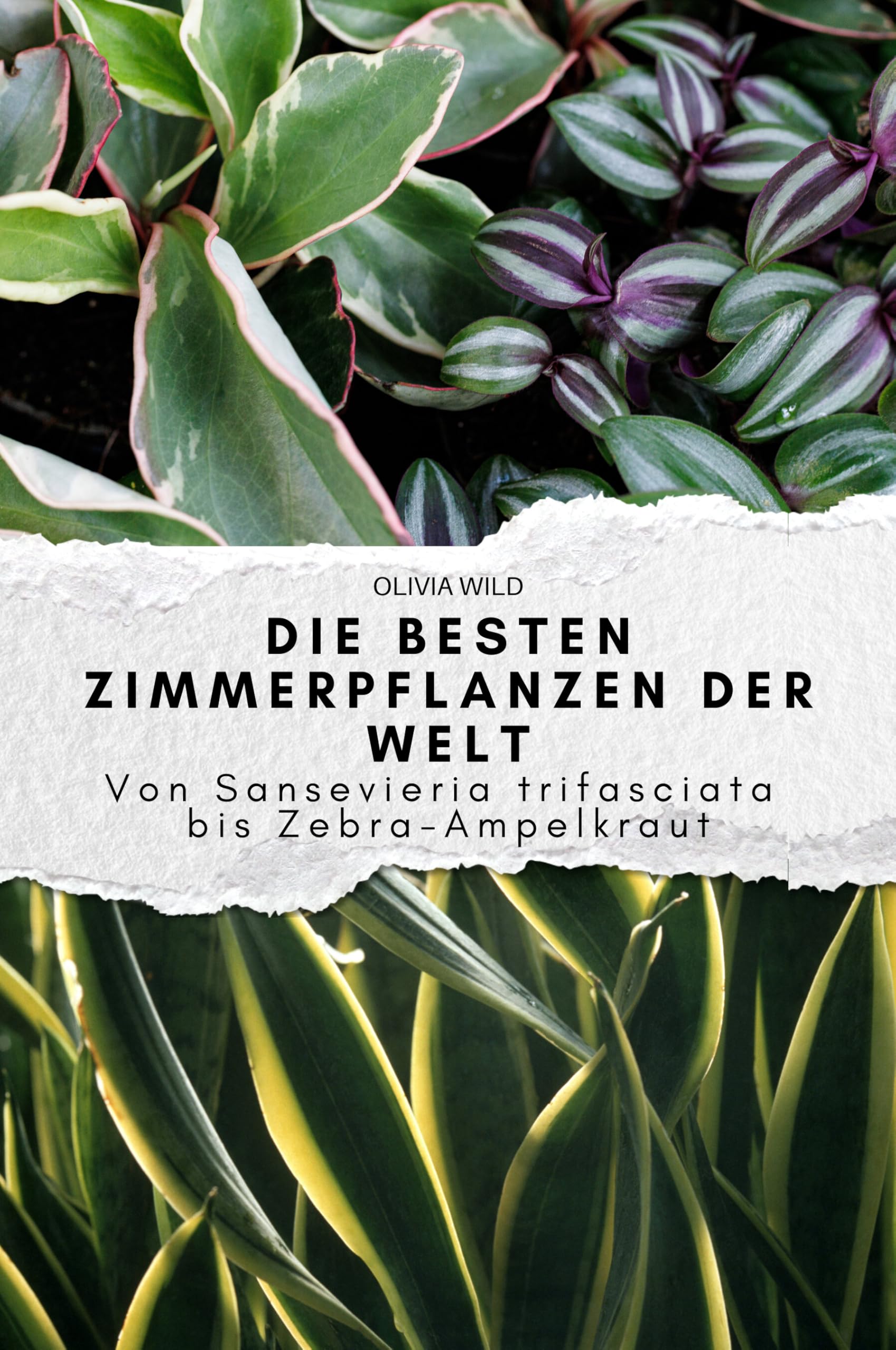 Die besten Zimmerpflanzen der Welt: Von Sansevieria trifasciata bis Zebra-Ampelkraut. Das perfekte Geschenk für Männer und Frauen zu Weihnachten und Geburtstag Memories