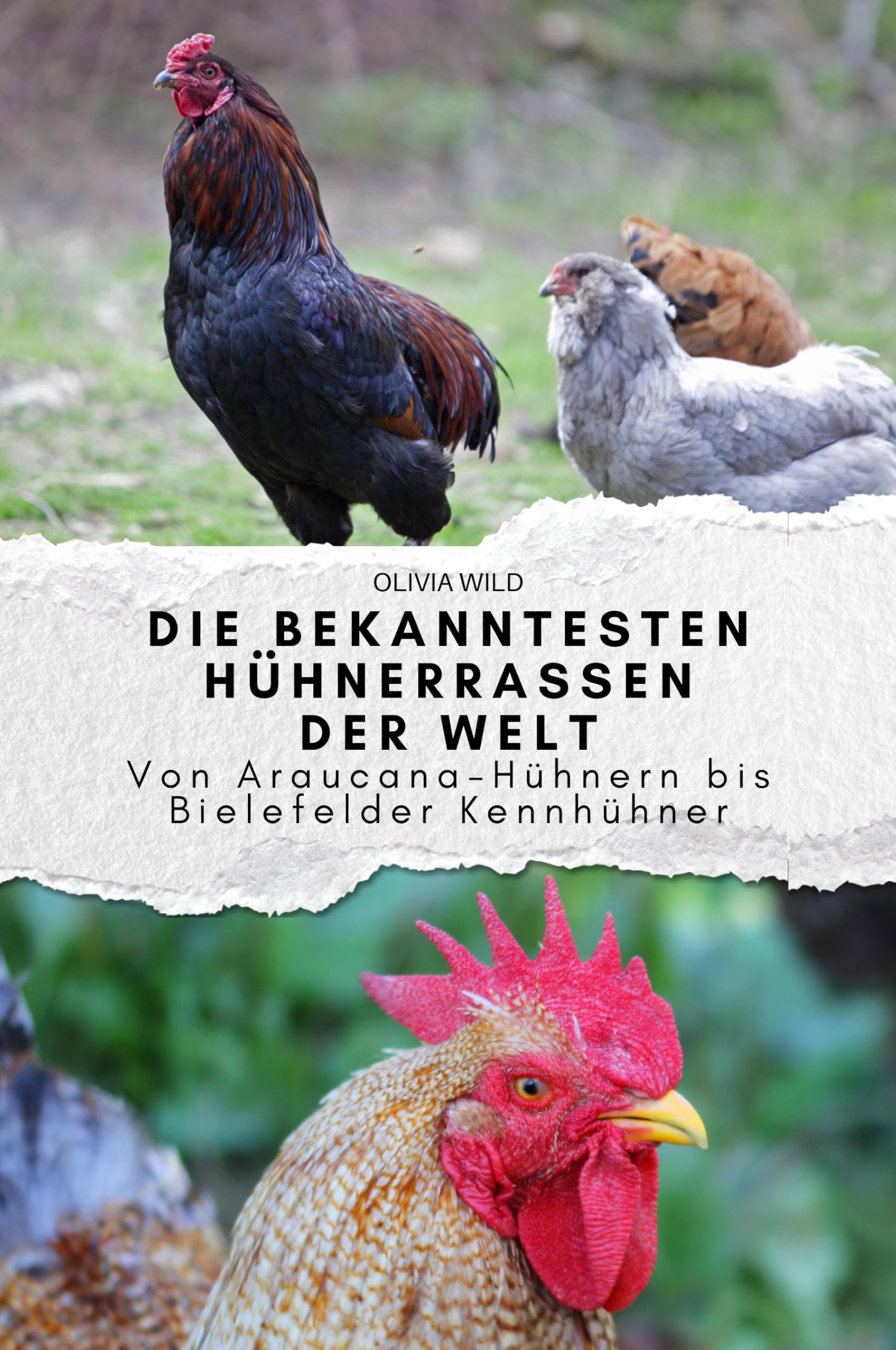 Die bekanntesten Hühnerrassen der Welt: Von Araucana-Hühnern bis Bielefelder Kennhühner. Das perfekte Geschenk für Männer und Frauen zu Weihnachten und Geburtstag Memories