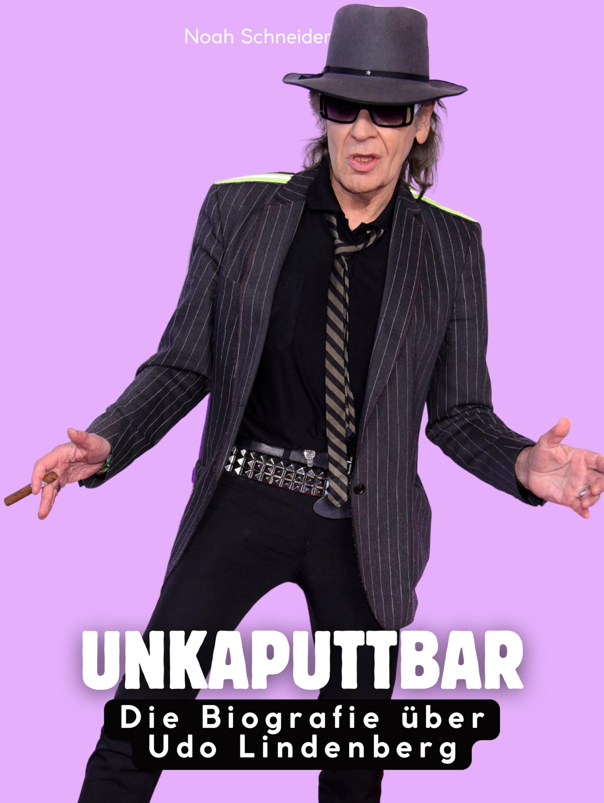 Die Biografie über Udo Lindenberg Art & Literature