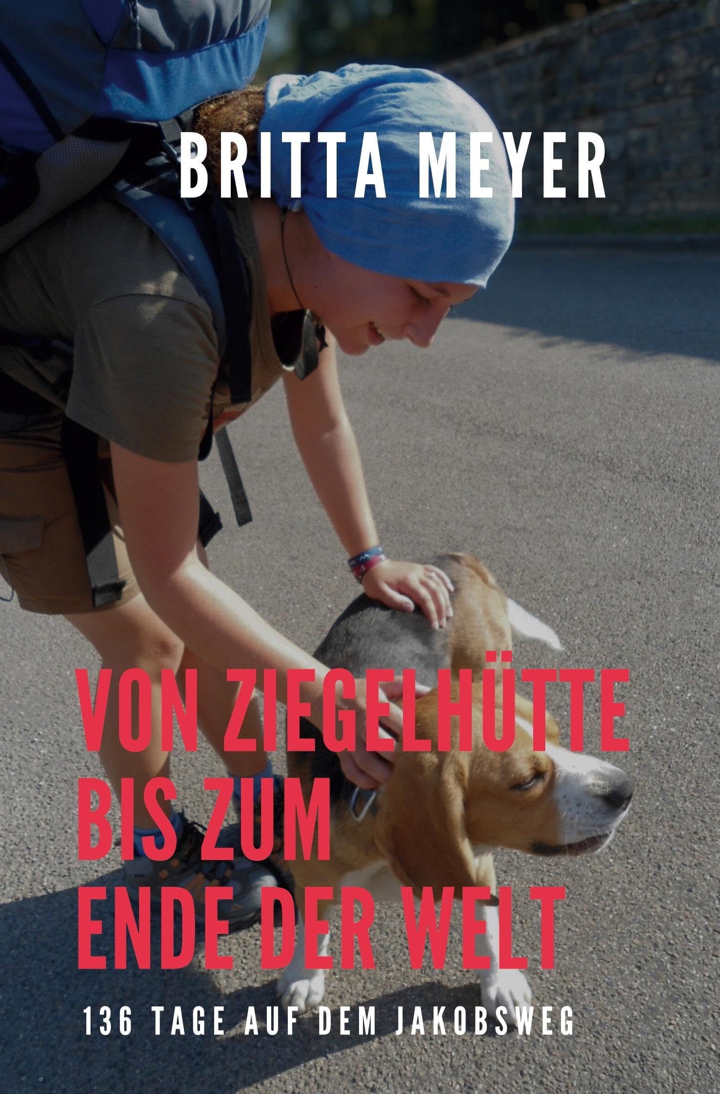 Von Ziegelhütte bis zum Ende der Welt book