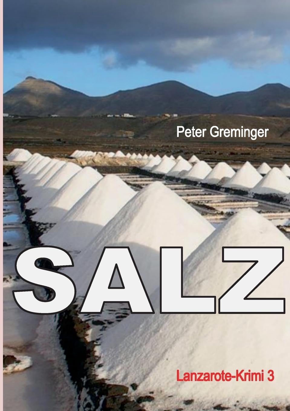 Salz: der Insel (Lanzarotekrimi) Contemporary literature