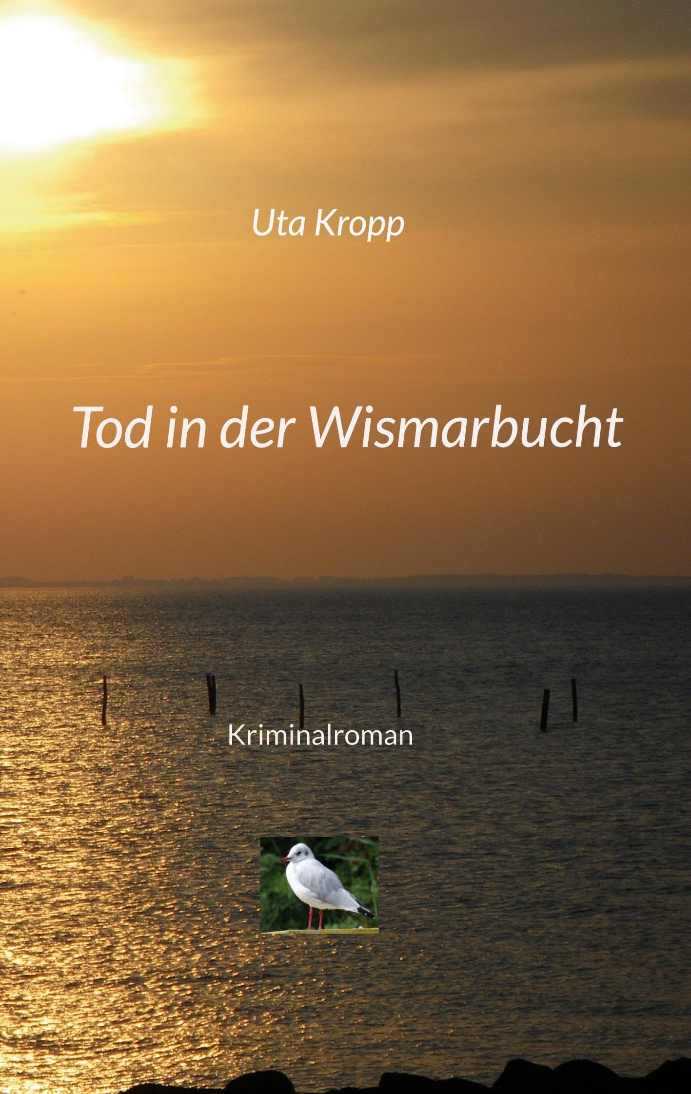 Tod in der Wismarbucht book