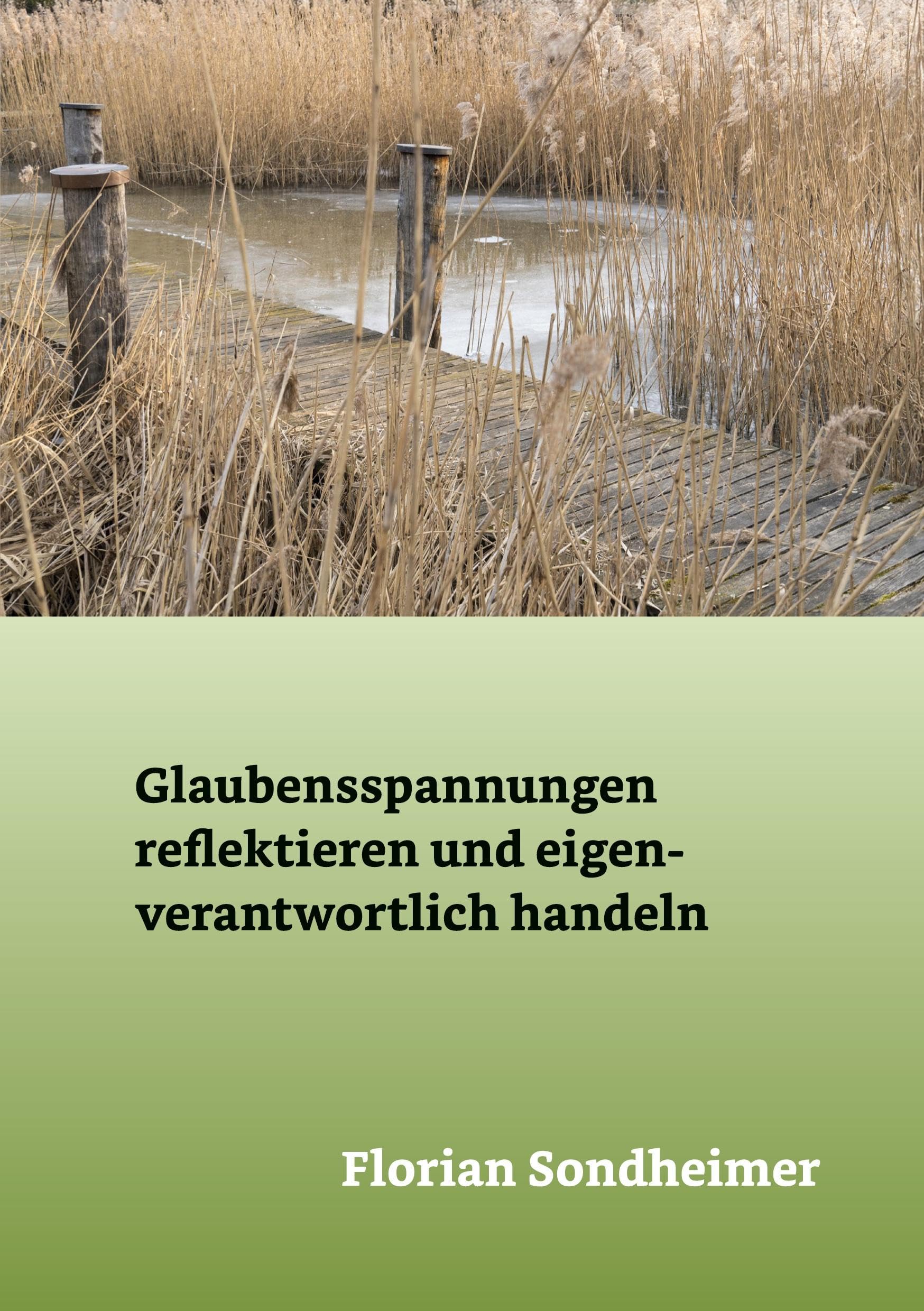 Sondheimer, F: Glaubensspannungen reflektieren und eigenvera Religion & Esotericism