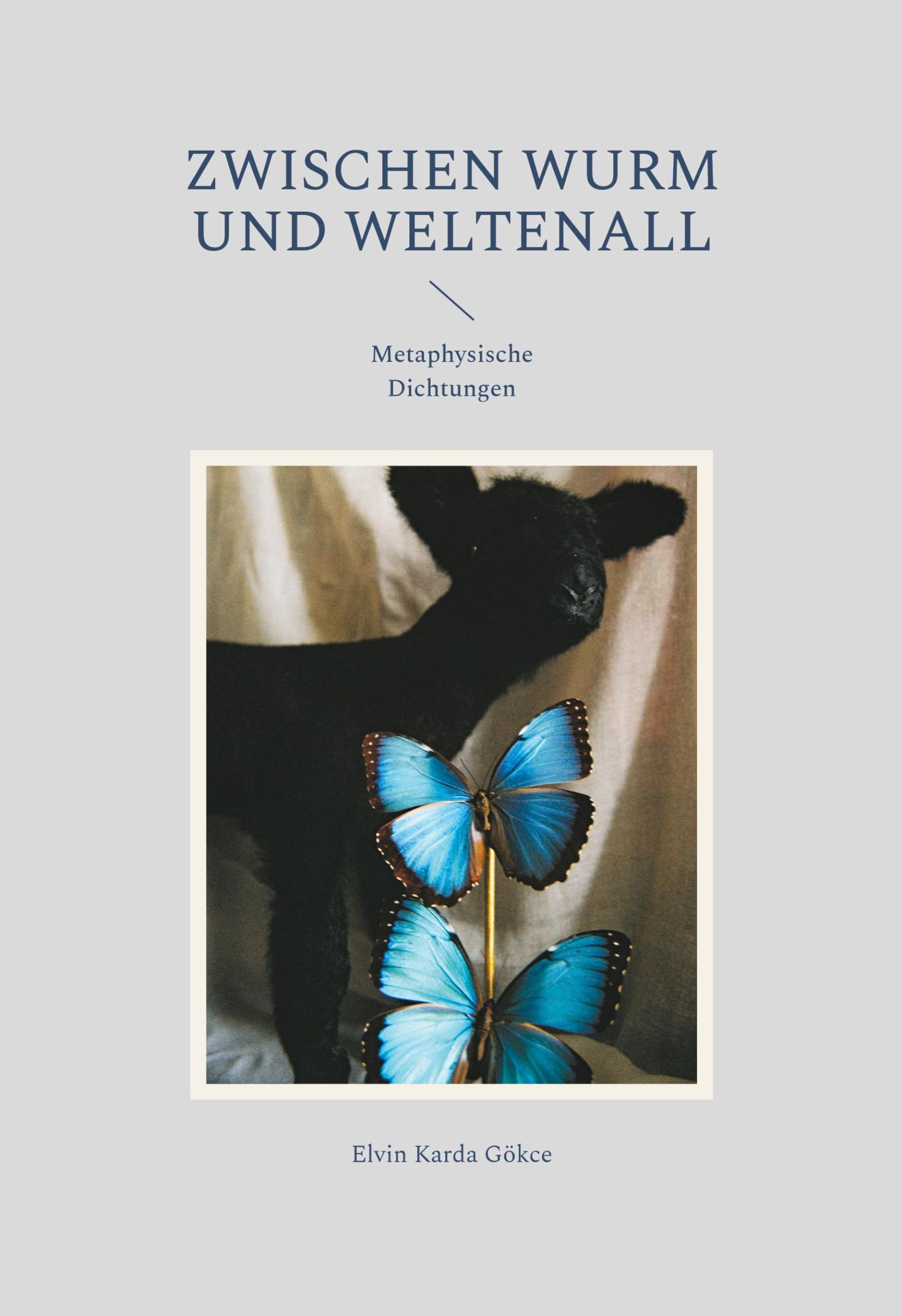 Zwischen Wurm und Weltenall: Metaphysische Dichtungen Philosophy