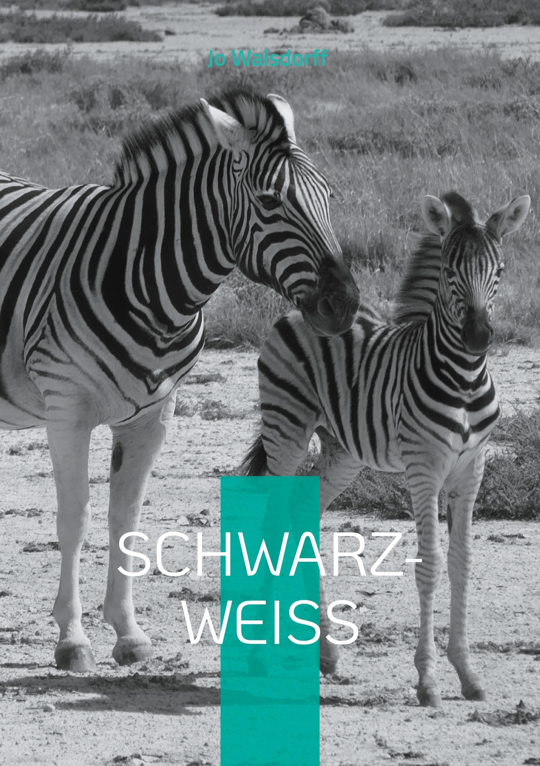 Schwarz-Weiß: Reise in Afrika Leisure, Home & Garden