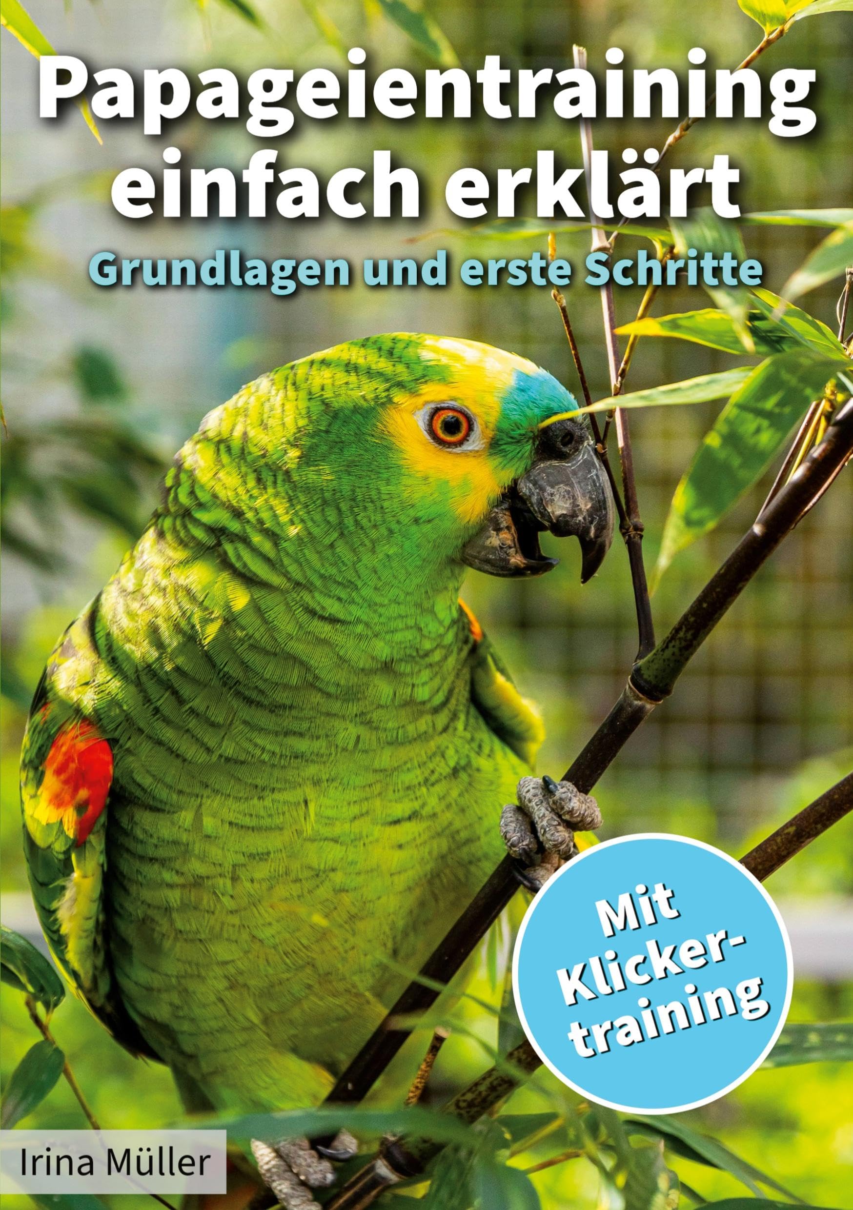 Papageientraining einfach erklärt: Grundlagen und erste Schritte Pets