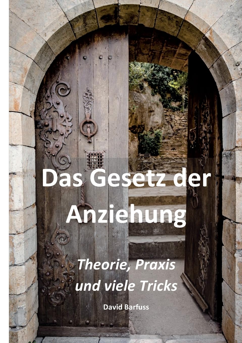 Das Gesetz der Anziehung: Theorie, Praxis und viele Tricks Business, Finance & Career