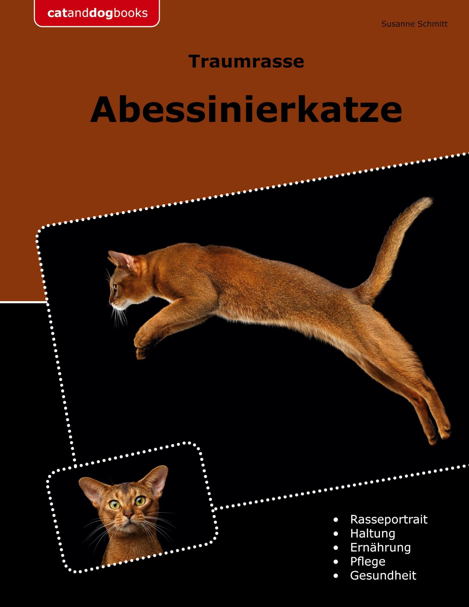 Traumrasse Abessinierkatze Pets