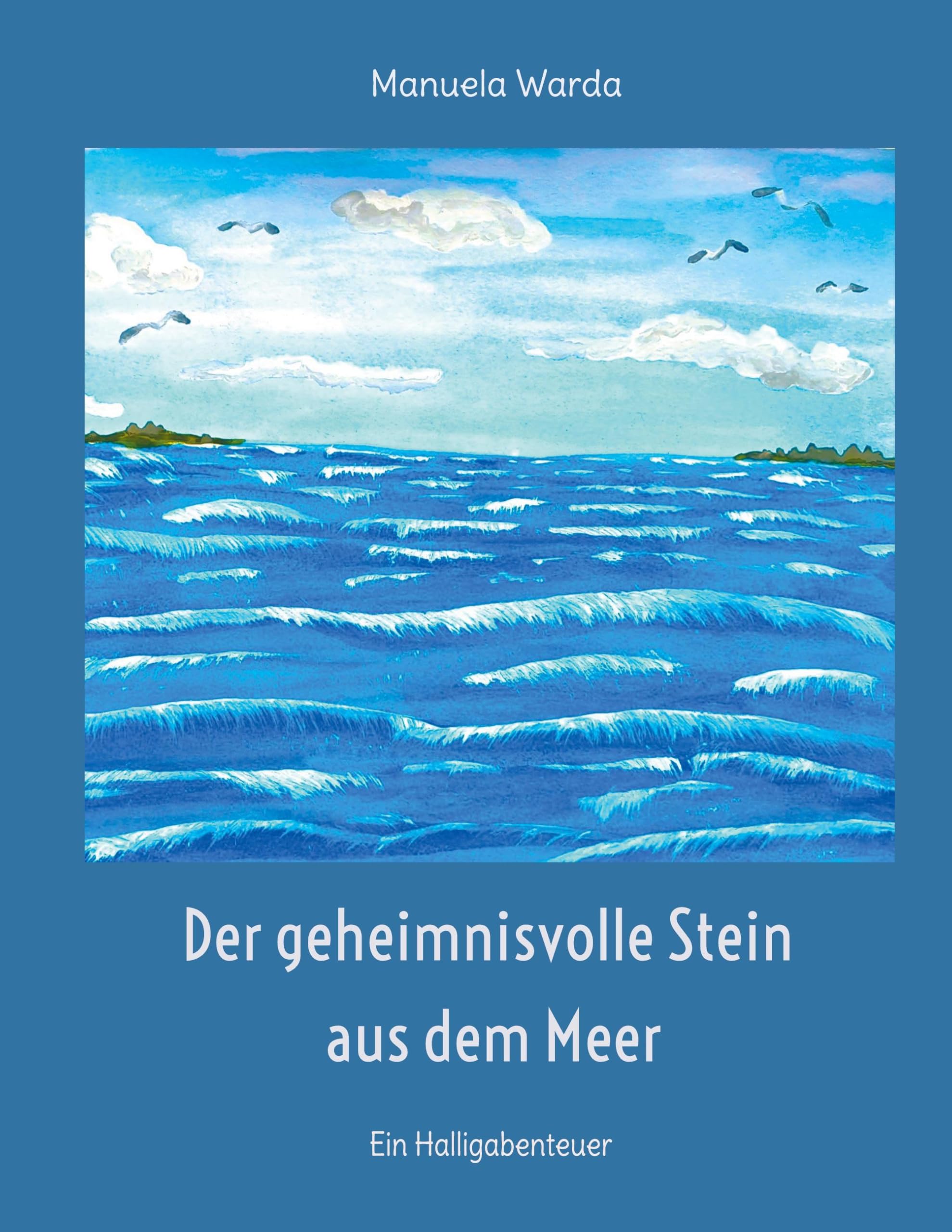 Der geheimnisvolle Stein aus dem Meer: Ein Halligabenteuer Novels & Short Stories