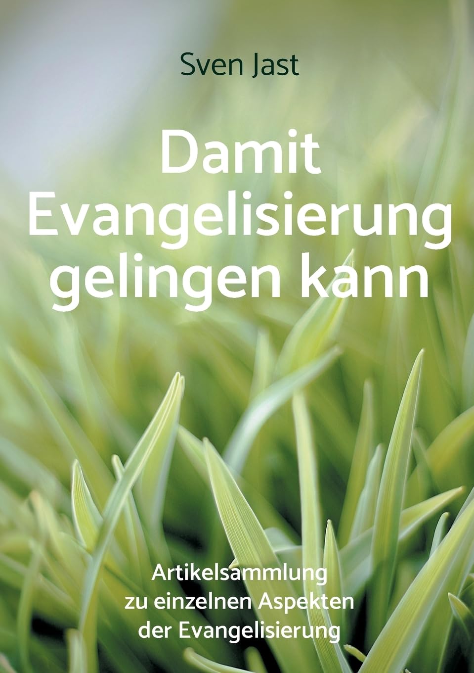 Damit Evangelisierung gelingen kann: Artikelsammlung zu einzelnen Aspekten der Evangelisierung Business, Finance & Career