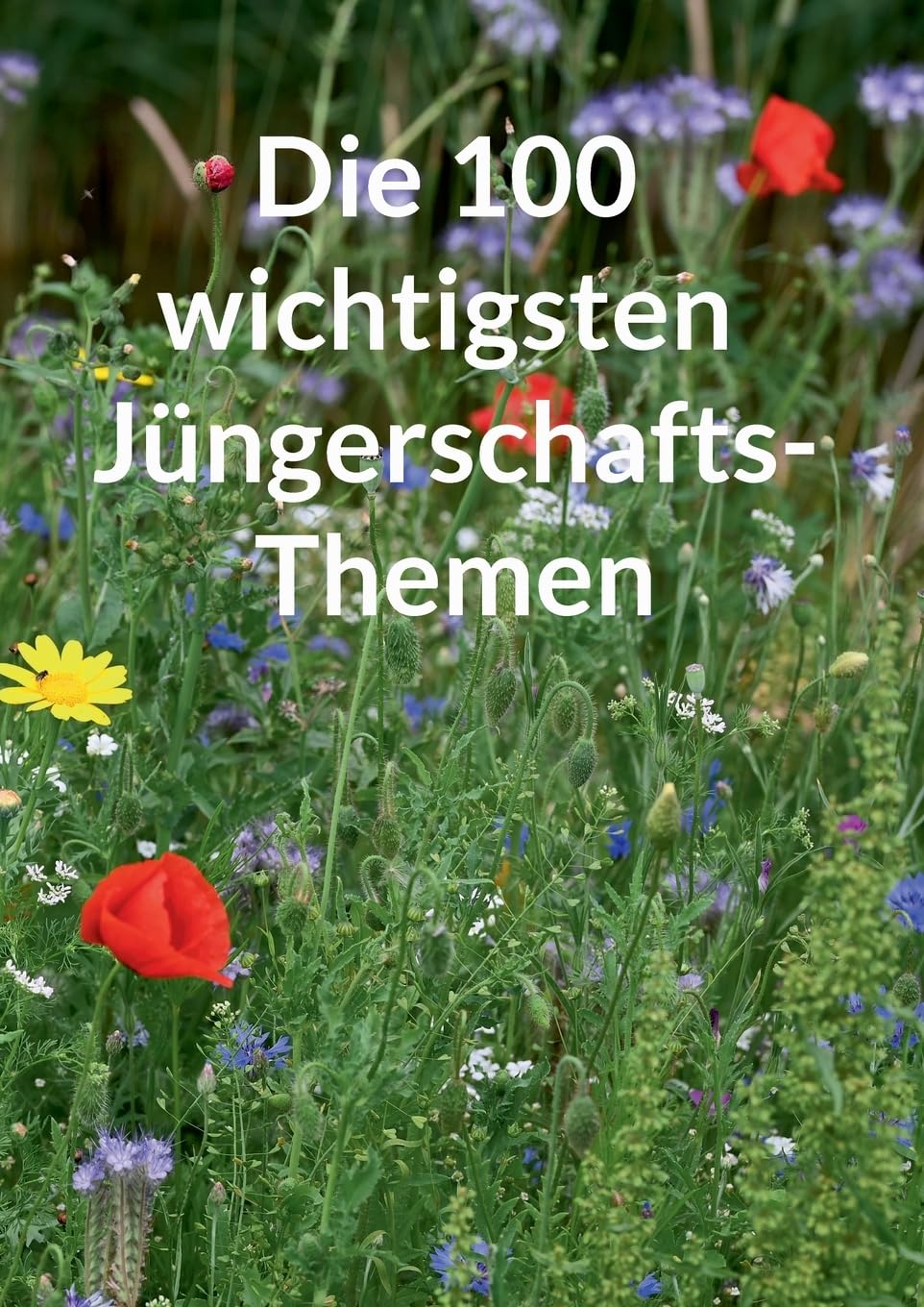 Die 100 wichtigsten Jüngerschaftsthemen Religion & Esotericism