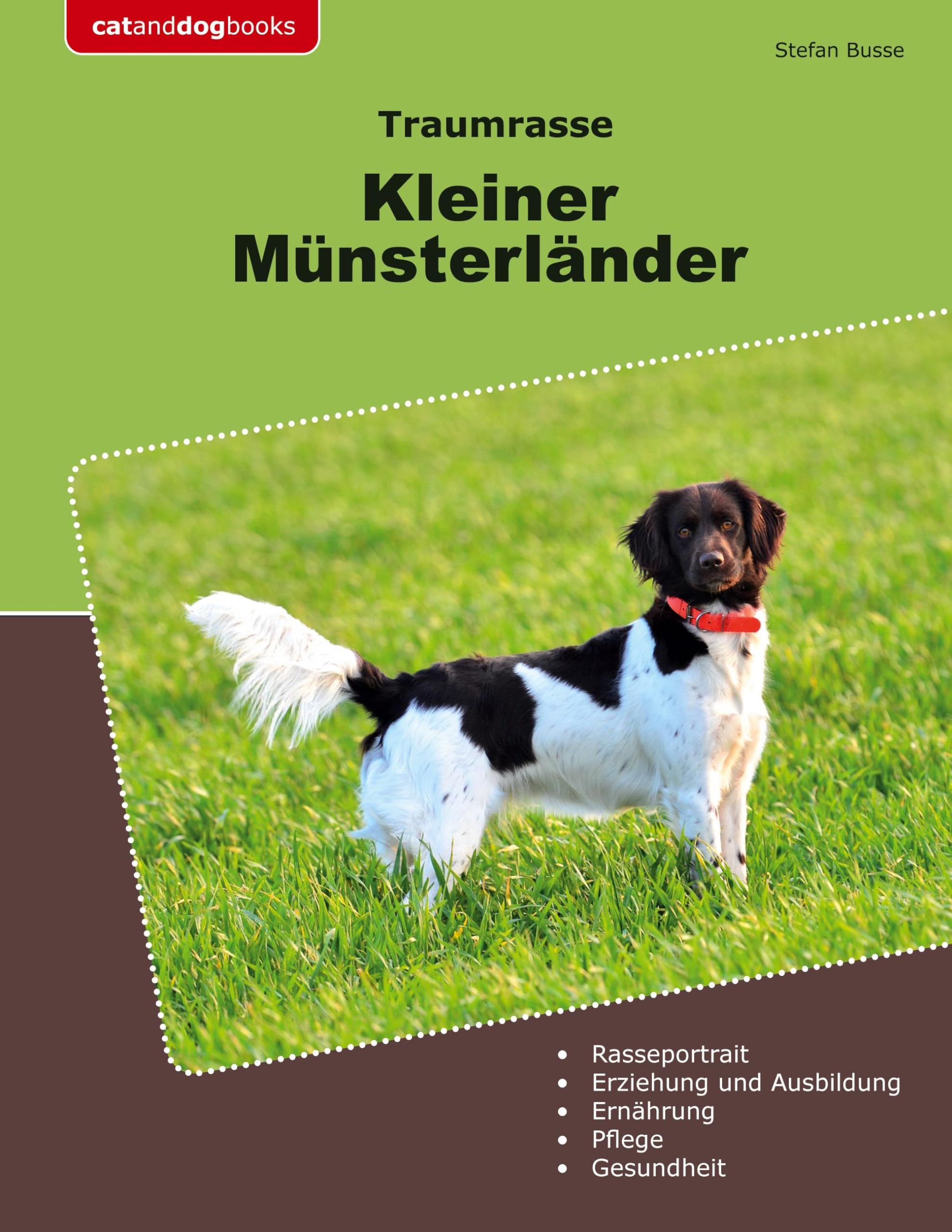 Traumrasse Kleiner Münsterländer Pets