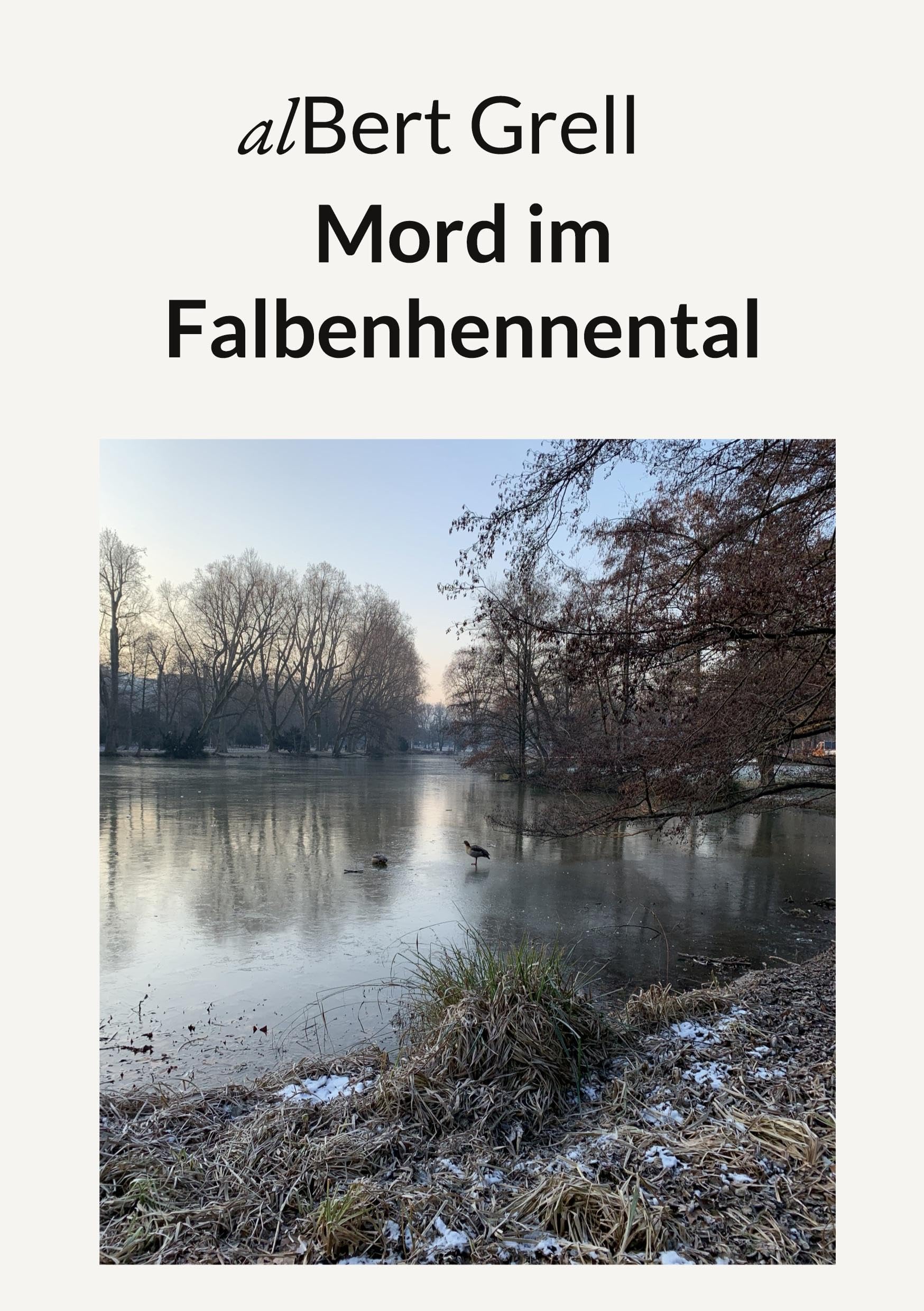 Mord im Falbenhennental: Stadtkrimi Contemporary literature