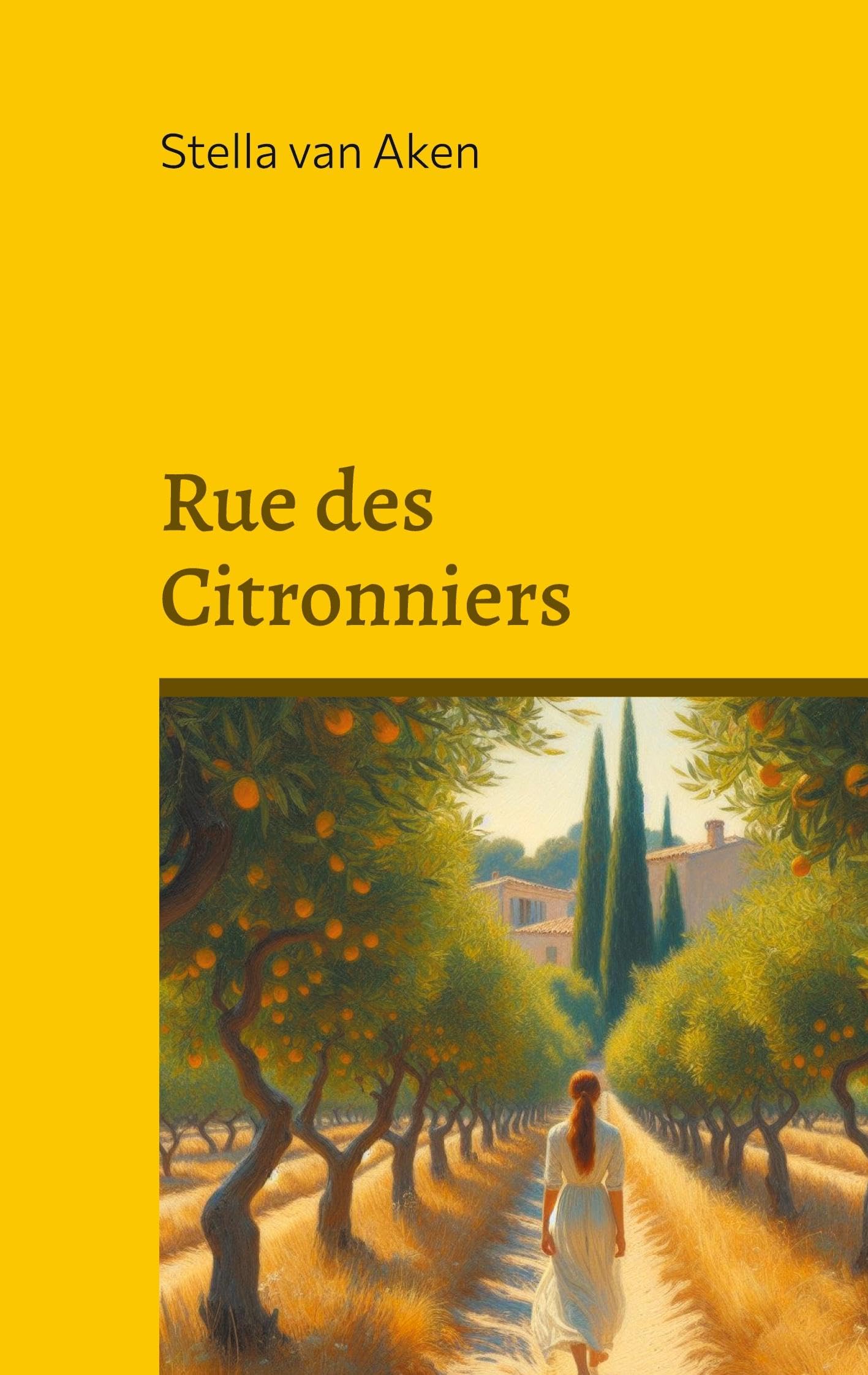 Rue des Citronniers: Roman Contemporary literature