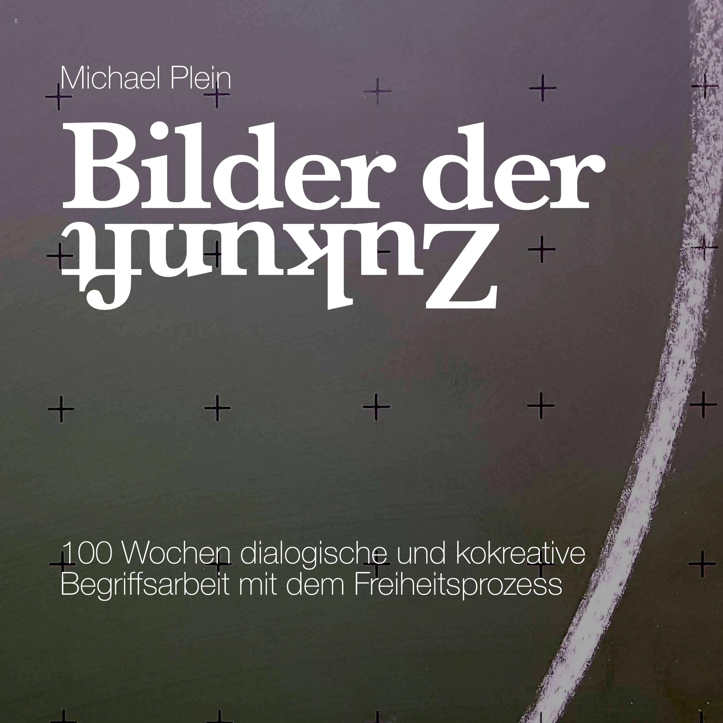 Bilder der Zukunft: 100 Wochen dialogische und kokreative Begriffsarbeit mit dem Freiheitsprozess Business, Finance & Career