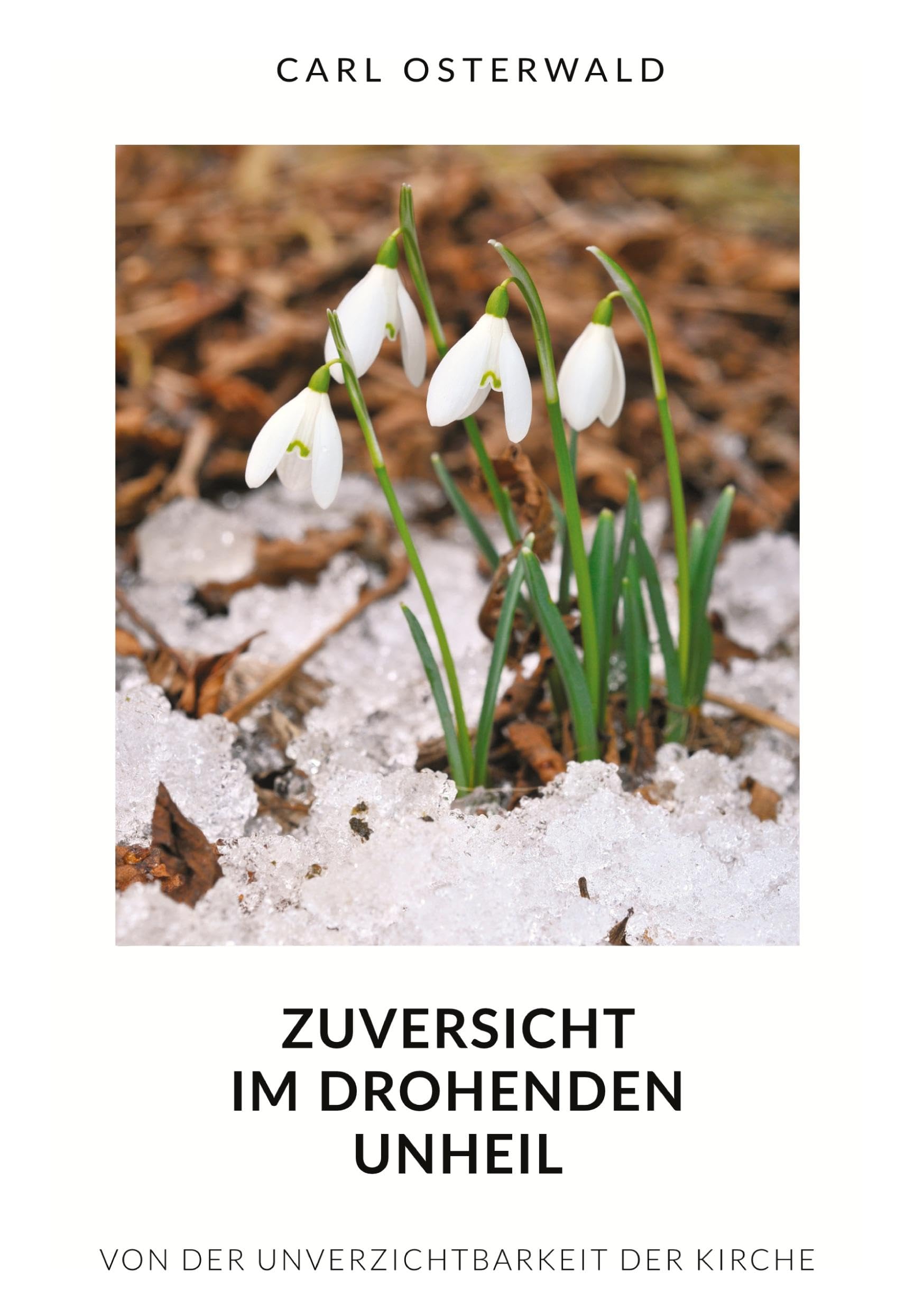 Zuversicht im drohenden Unheil: Von der Unverzichtbarkeit der Kirche German history