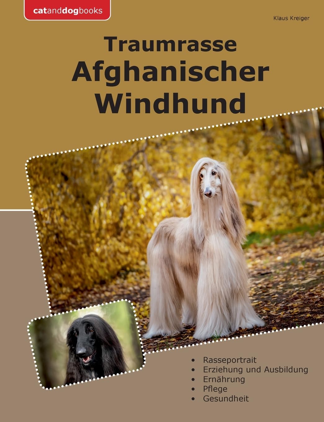 Traumrasse Afghanischer Windhund Pets