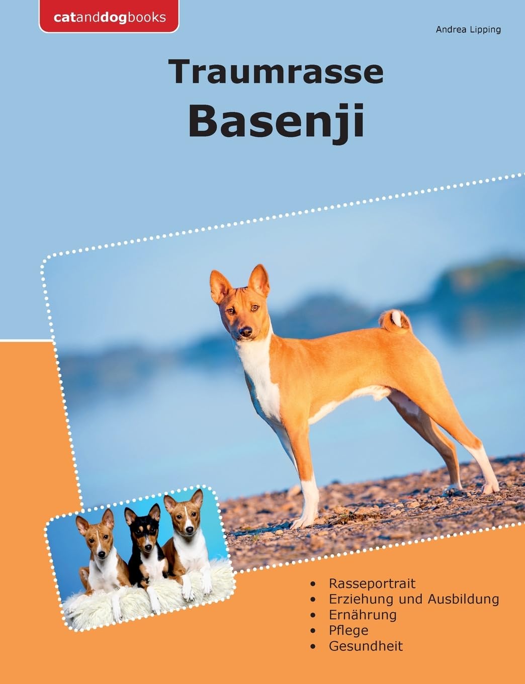 Product Image: Traumrasse Basenji