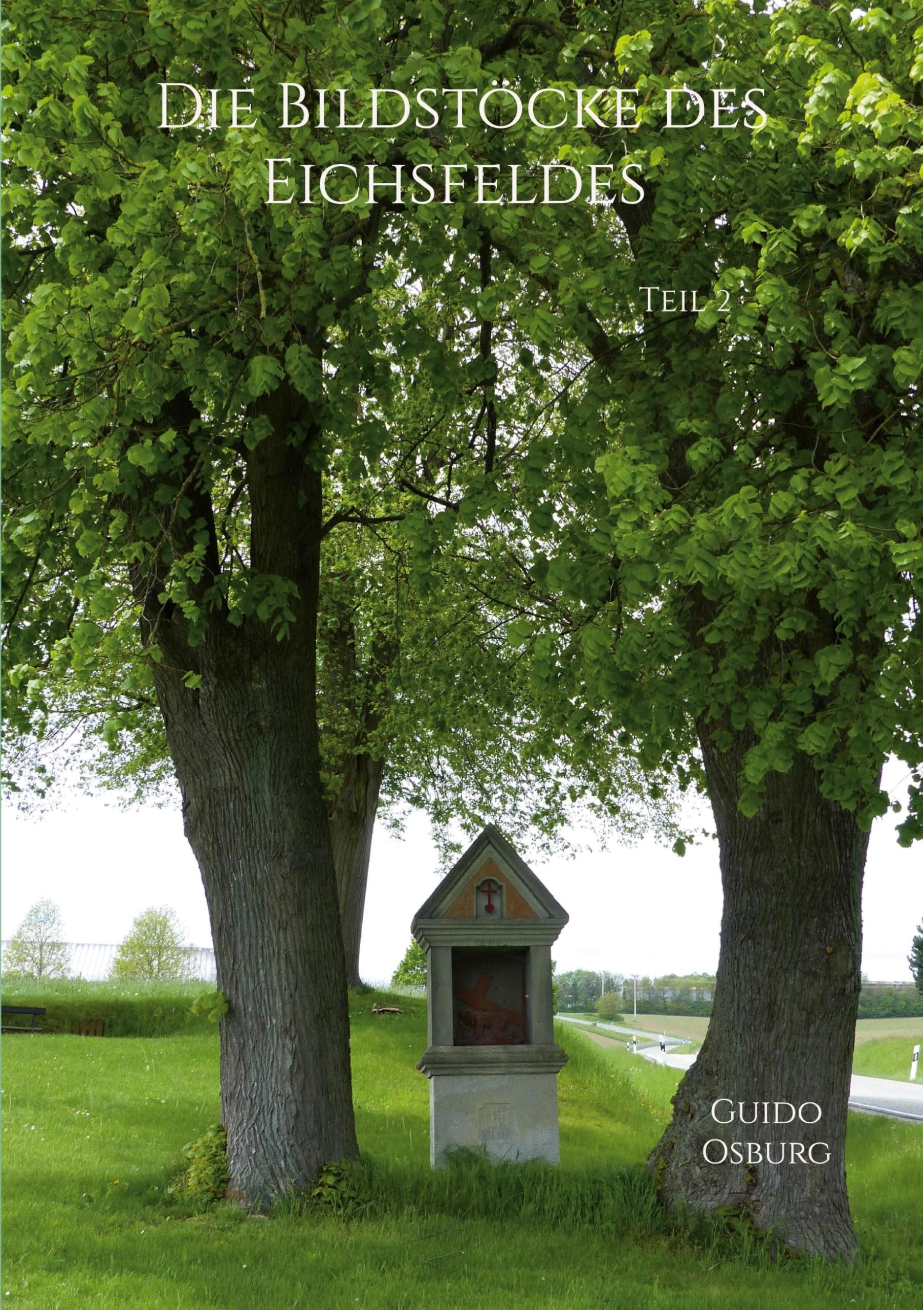 Die Bildstöcke des Eichsfeldes Teil 2: Historische und Aktuelle Glaubenszeichen im Eichsfeld Architecture