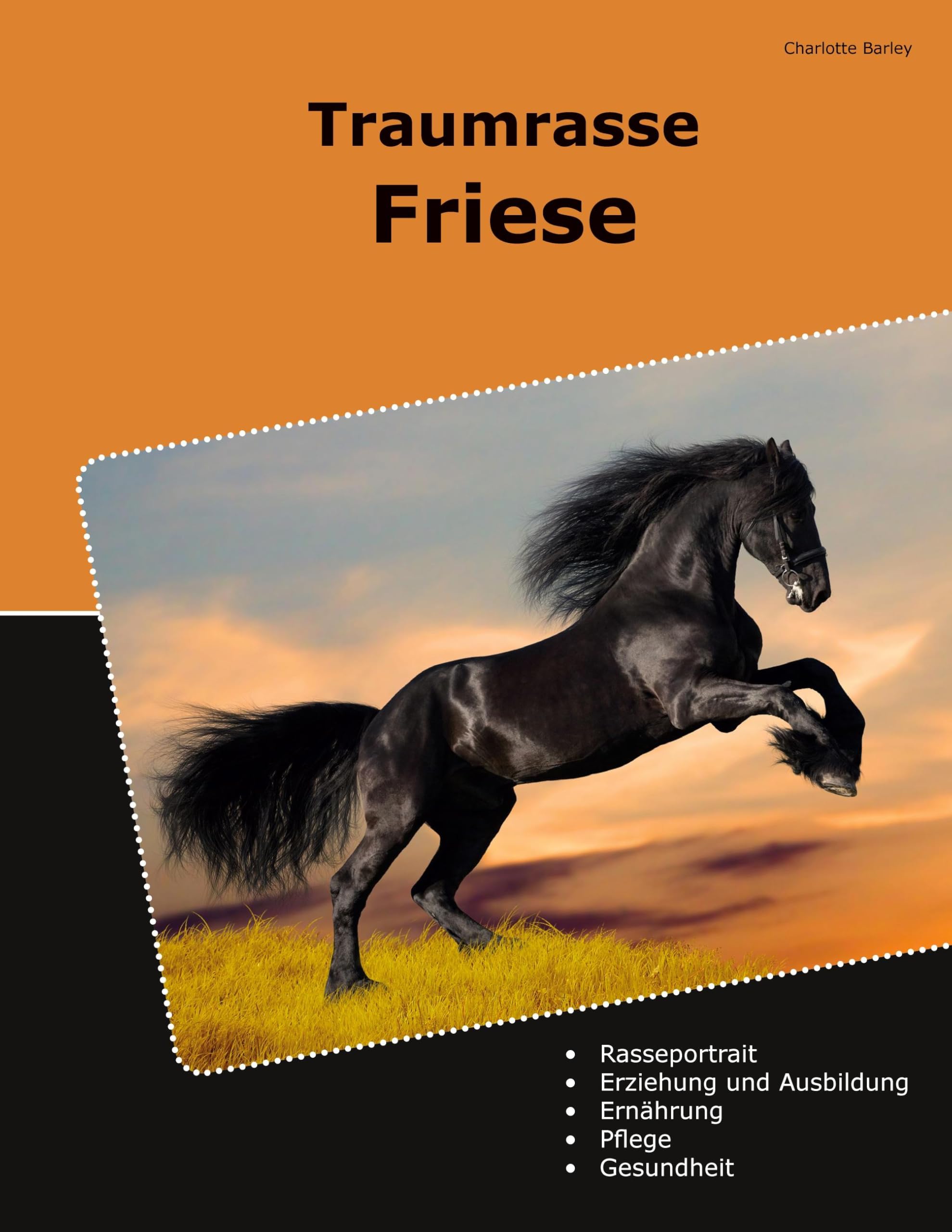 Traumrasse Friese Pets
