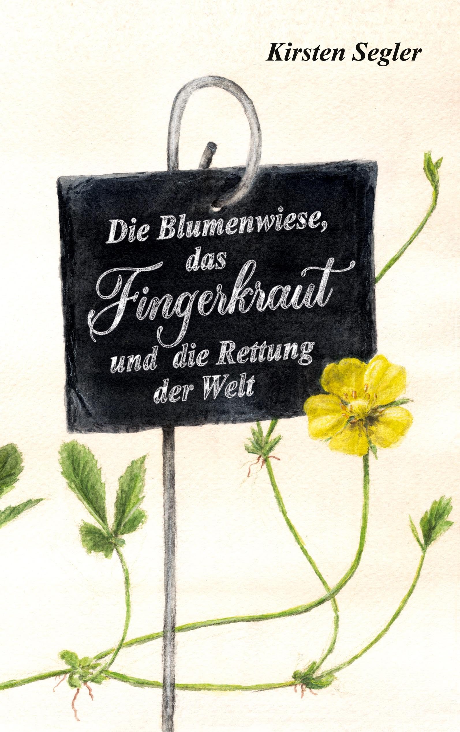 Die Blumenwiese, das Fingerkraut und die Rettung der Welt Social Sciences