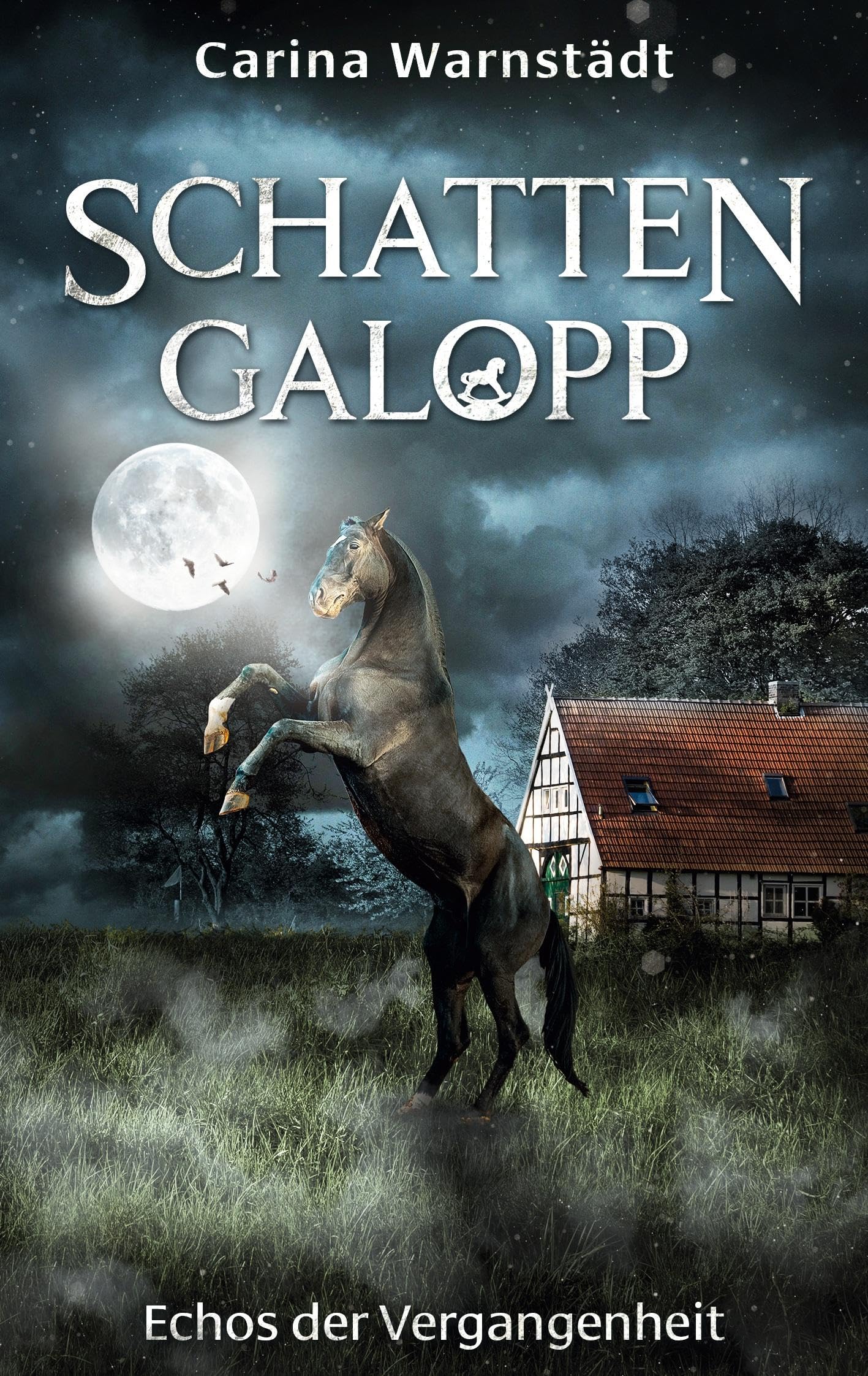 Schattengalopp: Echos der Vergangenheit Contemporary literature