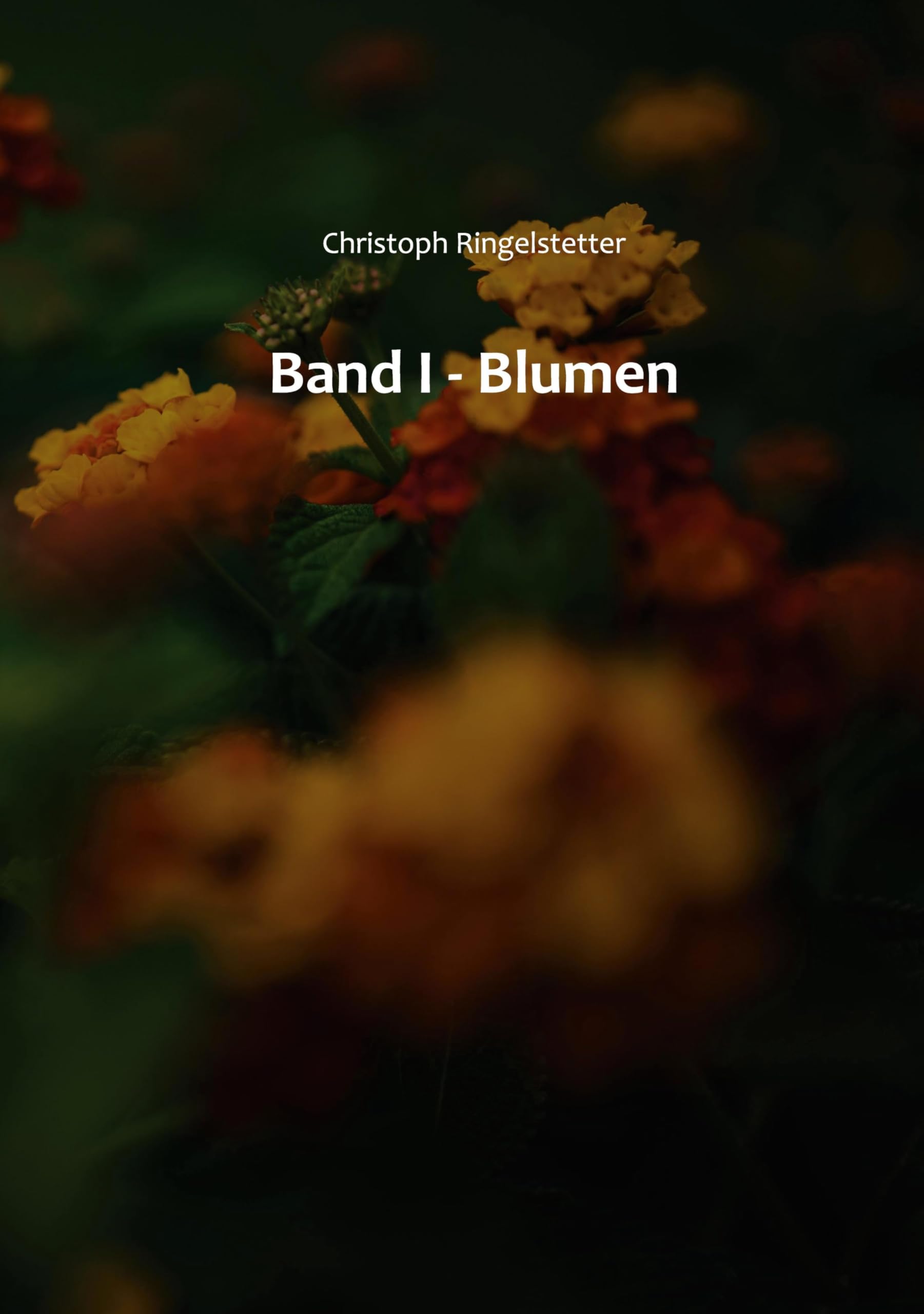 Band I Travel Books