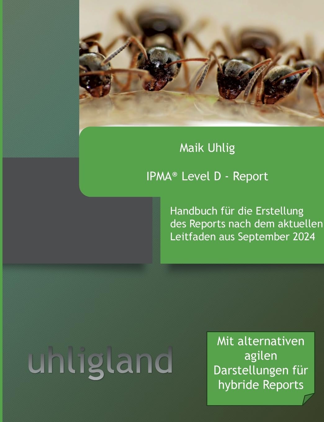 IPMA(R) Level D - Report: Handbuch für den Report mit Beispielen, nach Leitfaden 09/2014 Law