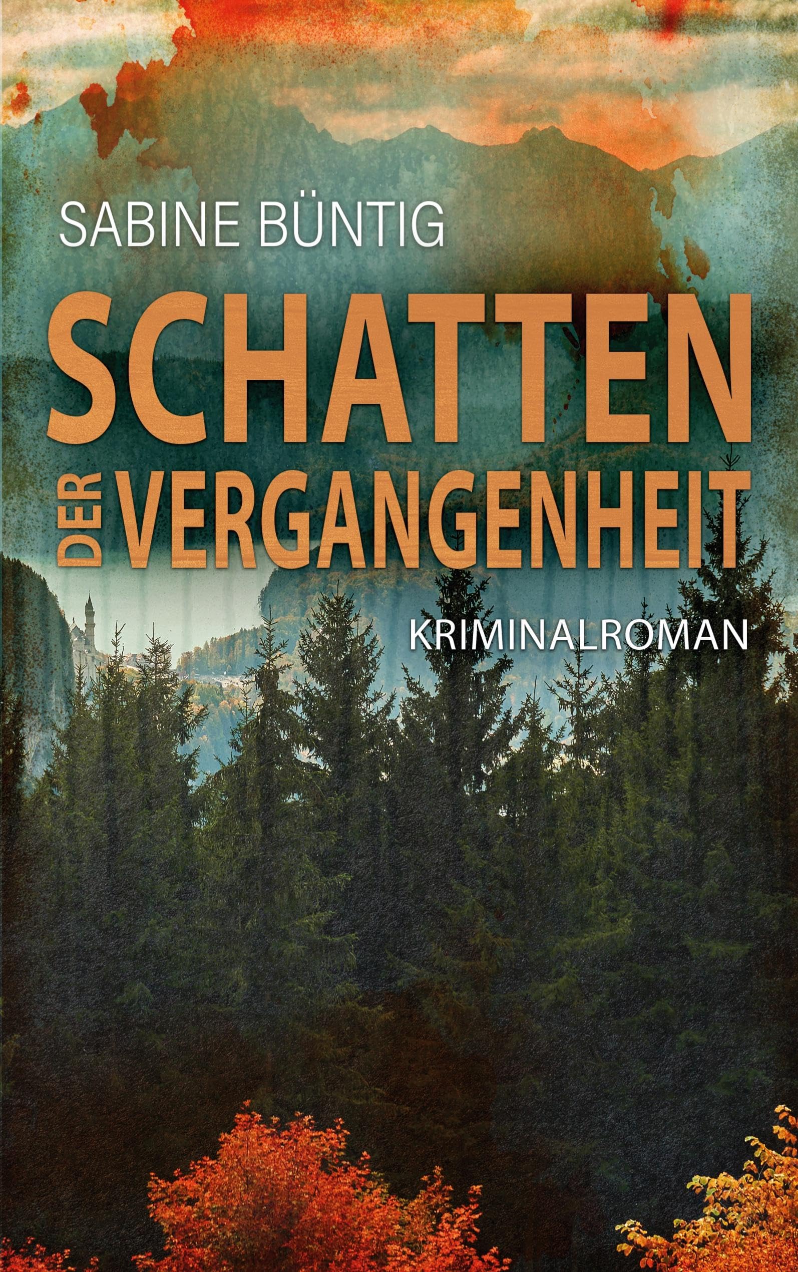 Schatten der Vergangenheit (Ein Fall für Falkner/Naumann) Contemporary literature