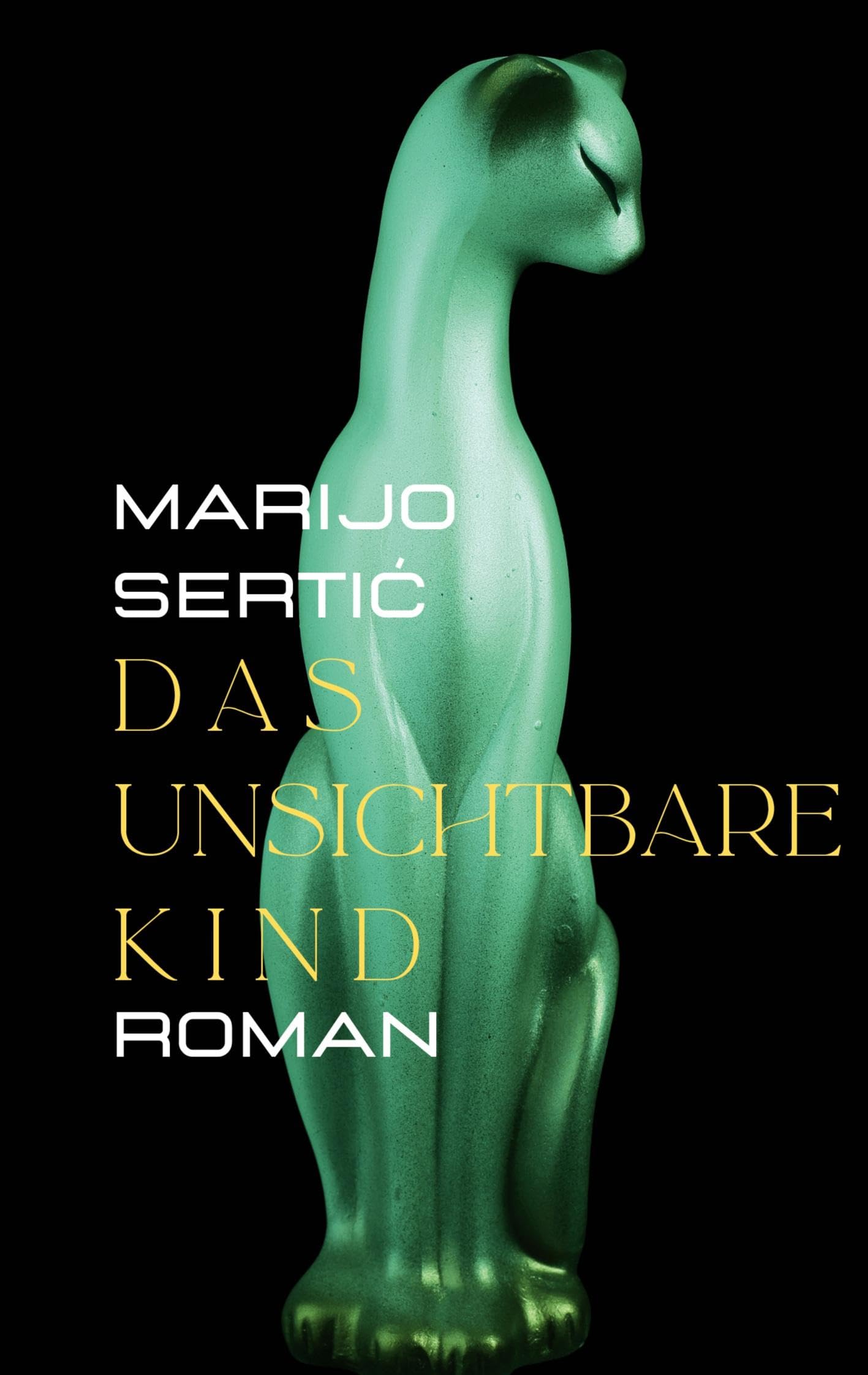 Das unsichtbare Kind Contemporary literature Books