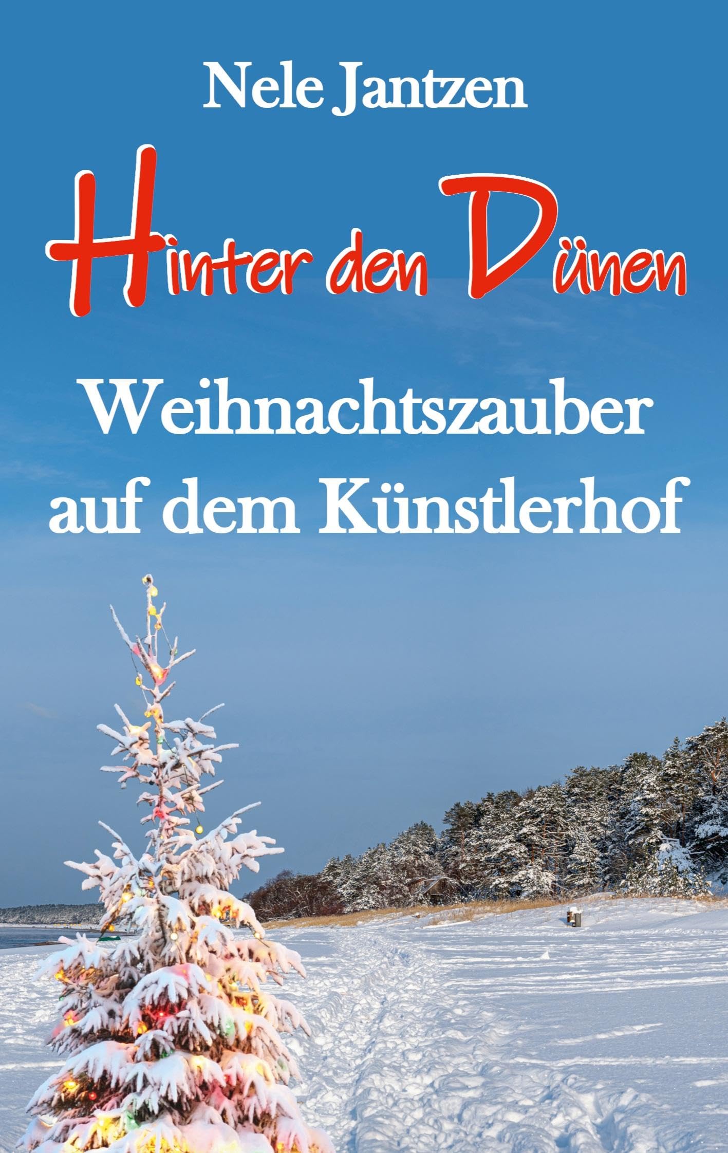 Hinter den Dünen - Weihnachtszauber auf dem Künstlerhof Contemporary literature