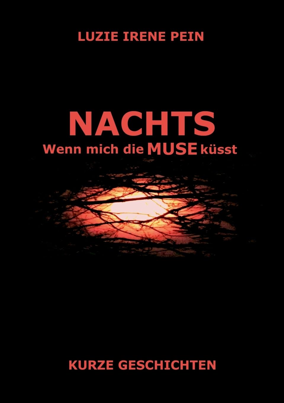 NACHTS: Wenn mich die MUSE küsst Essays & Short Stories