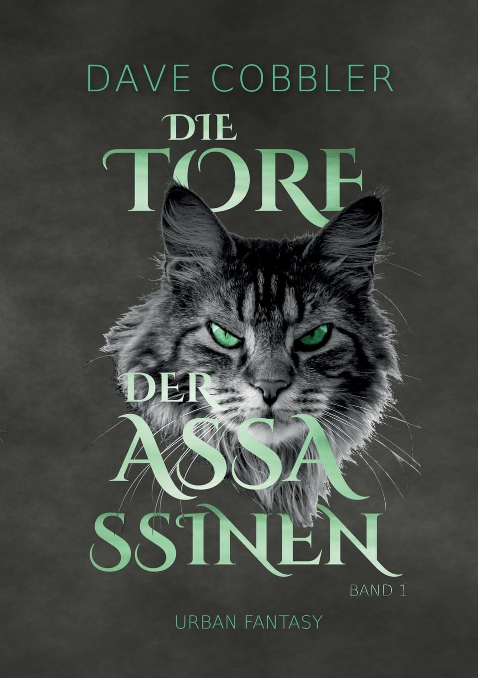 Die Tore der Assassinen Historical Fiction