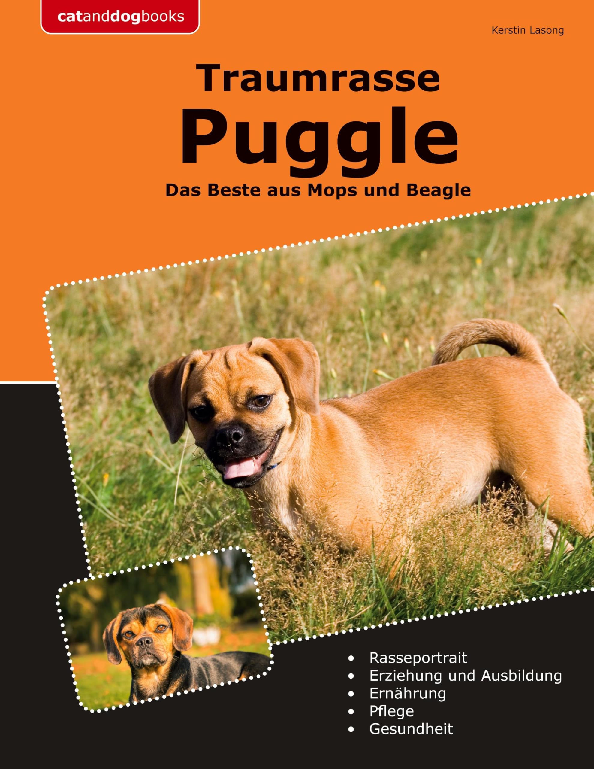 Traumrasse Puggle: Das Beste aus Mops und Beagle Pets