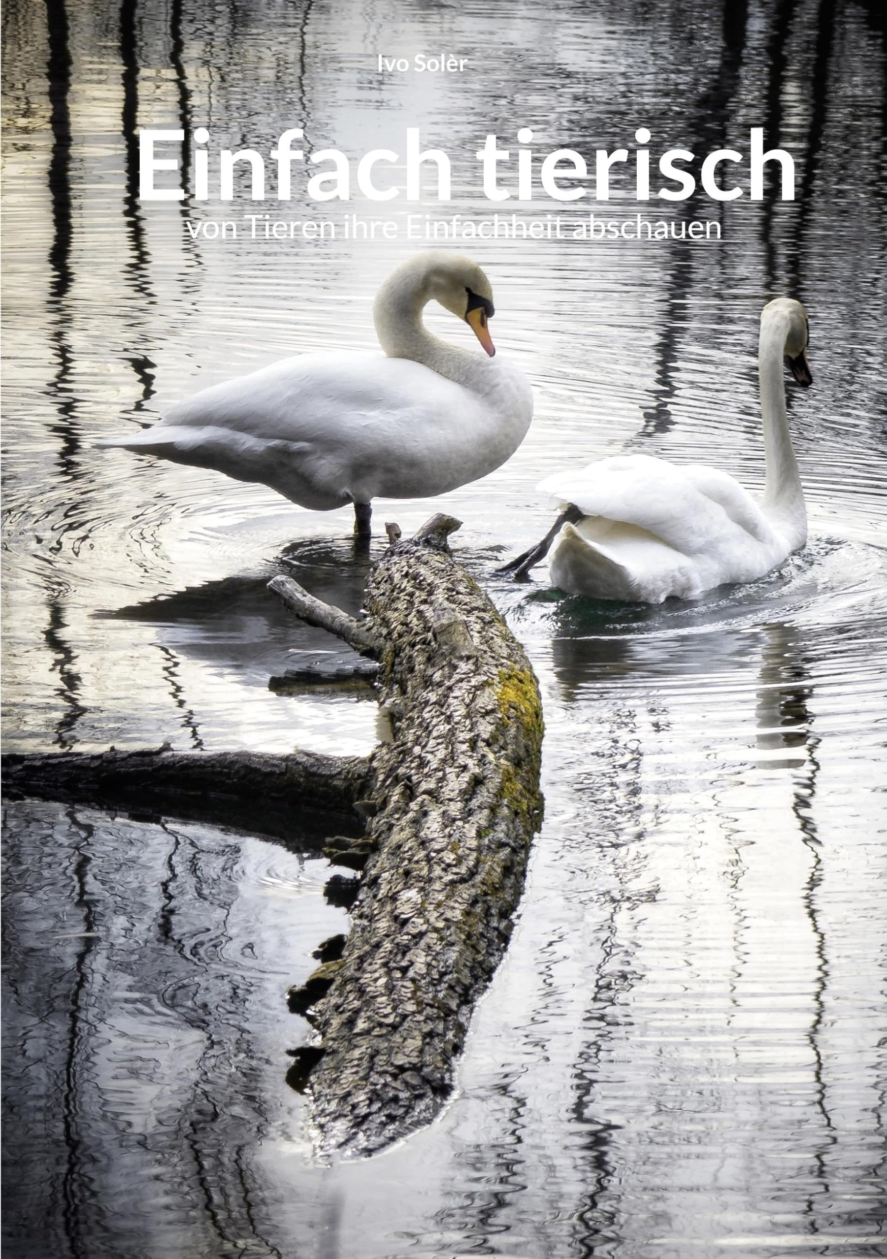 Einfach tierisch: von Tieren ihre Einfachheit abschauen Photography