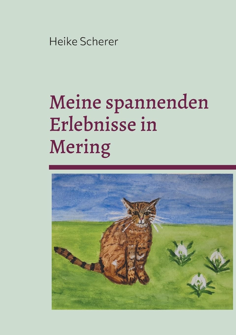Meine spannenden Erlebnisse in Mering Novels & Short Stories