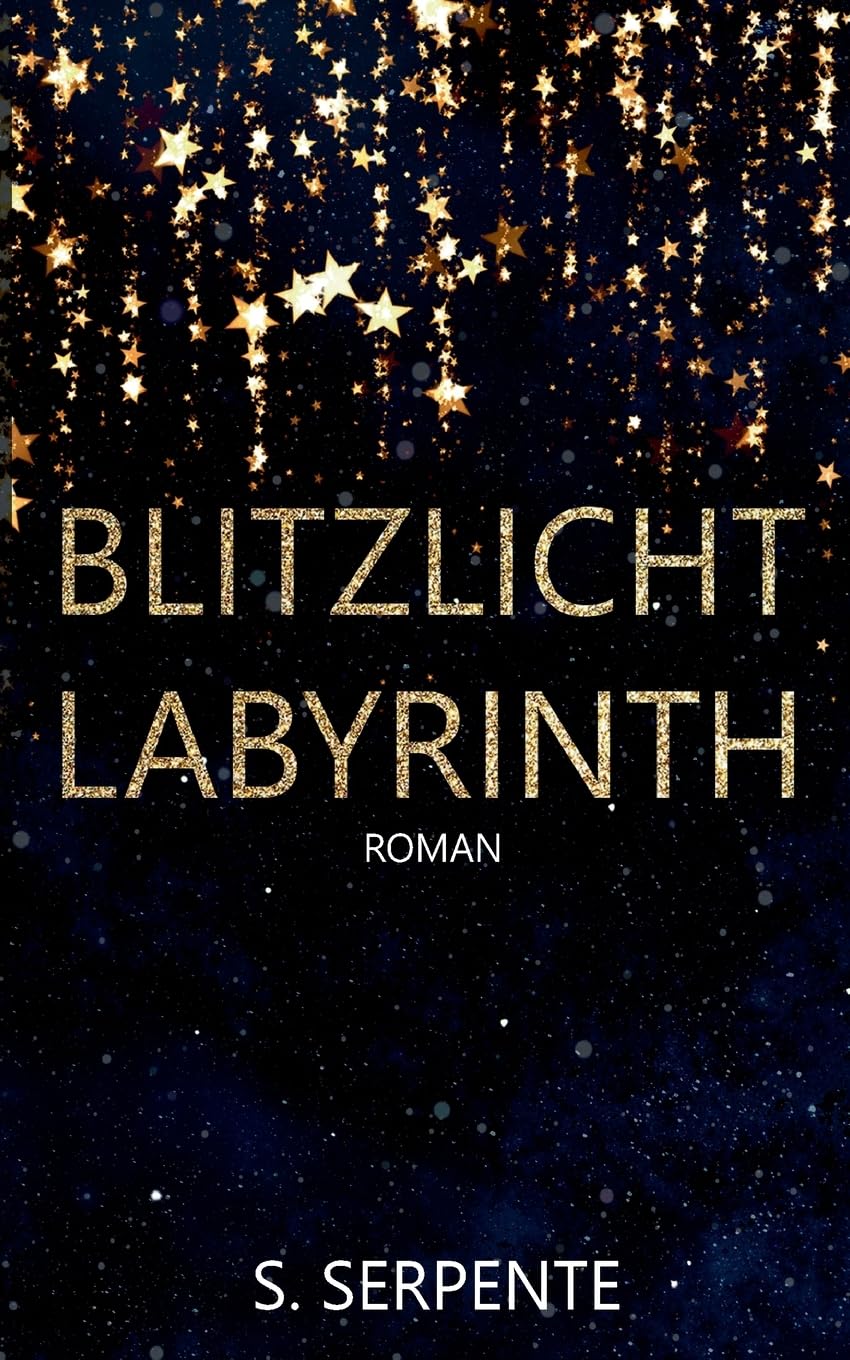 Blitzlichtlabyrinth Contemporary literature