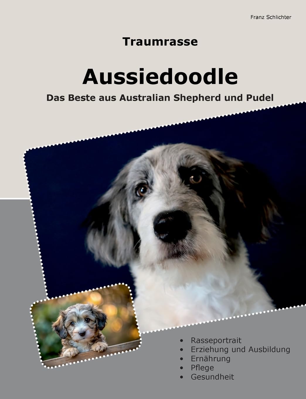Traumrasse Aussiedoodle: Das Beste aus Australian Shepherd und Pudel Pets