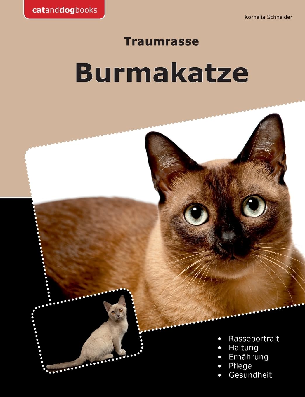 Traumrasse Burmakatze Pets