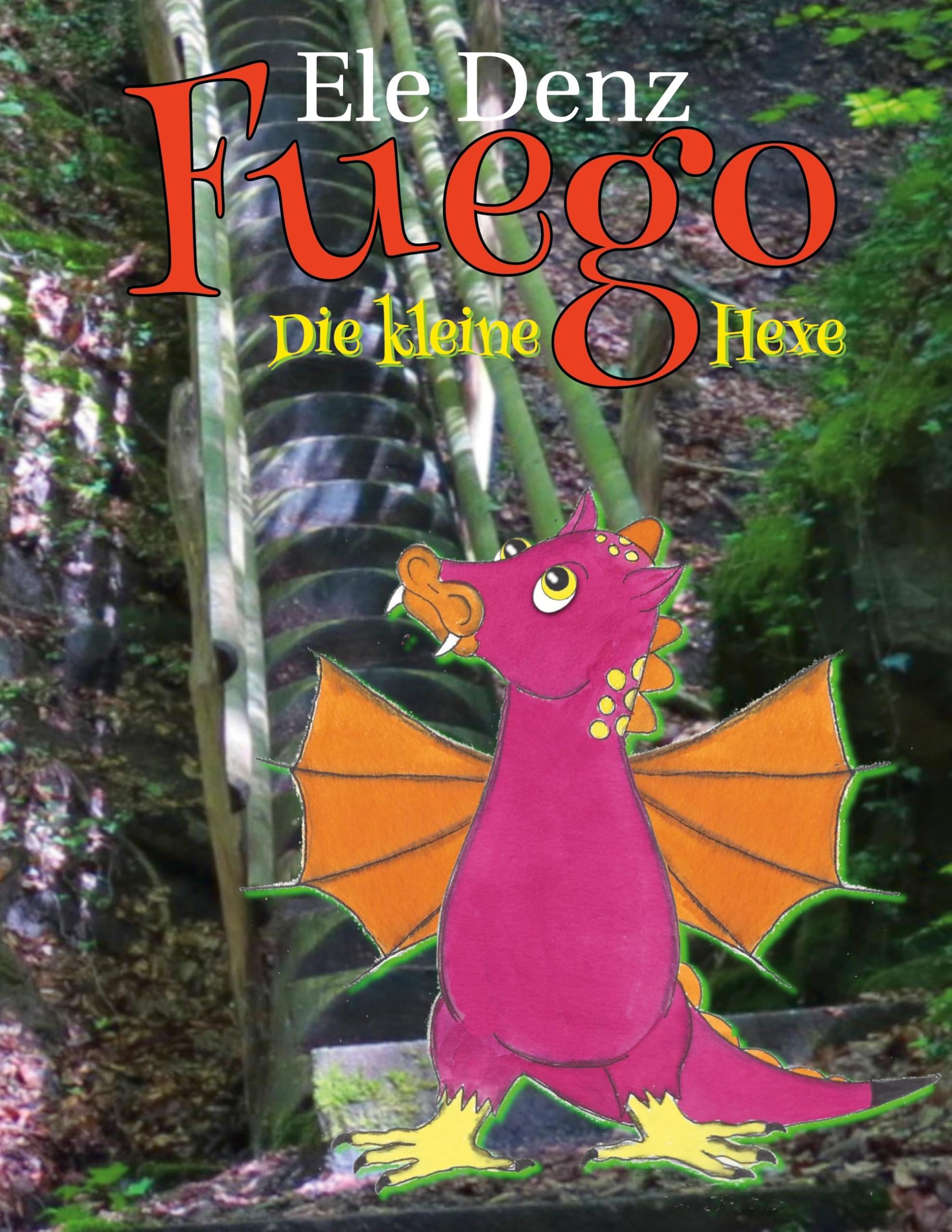 Fuego: Die kleine Hexe Children's books