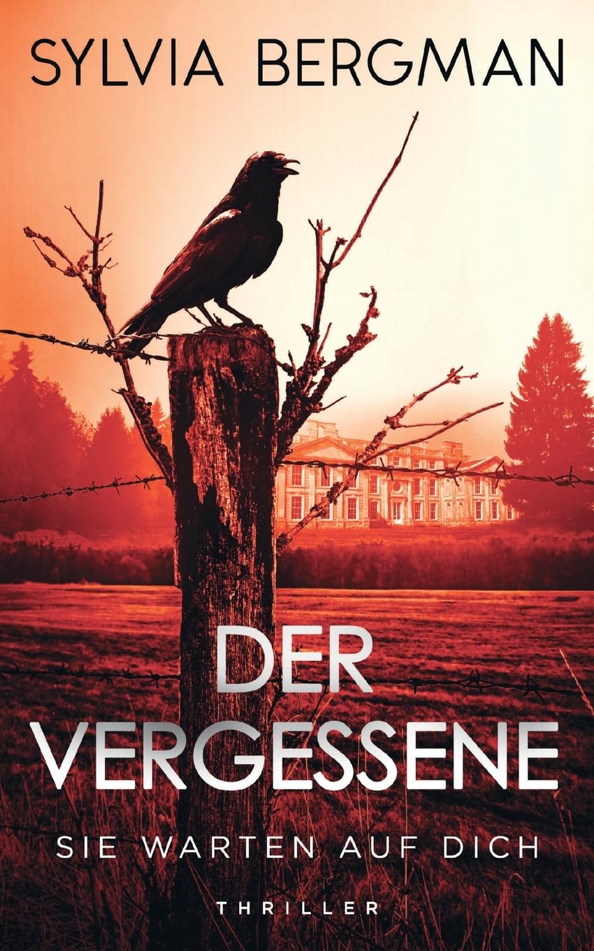 Der Vergessene Contemporary literature Books
