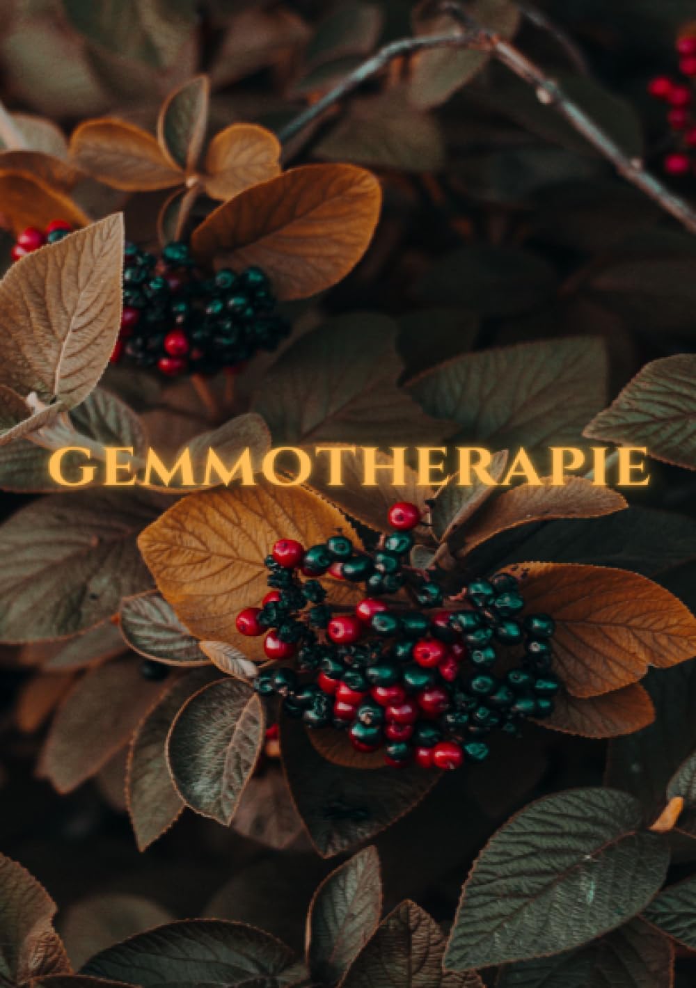 Gemmotherapie: Hilfe in der Naturheilkunde - BONUS Rezepte 2023 -: Die geheime Energie der Natur für ganzheitliche Gesundheit und Vitalität - SONDERAUSGABE Living & Furnishing