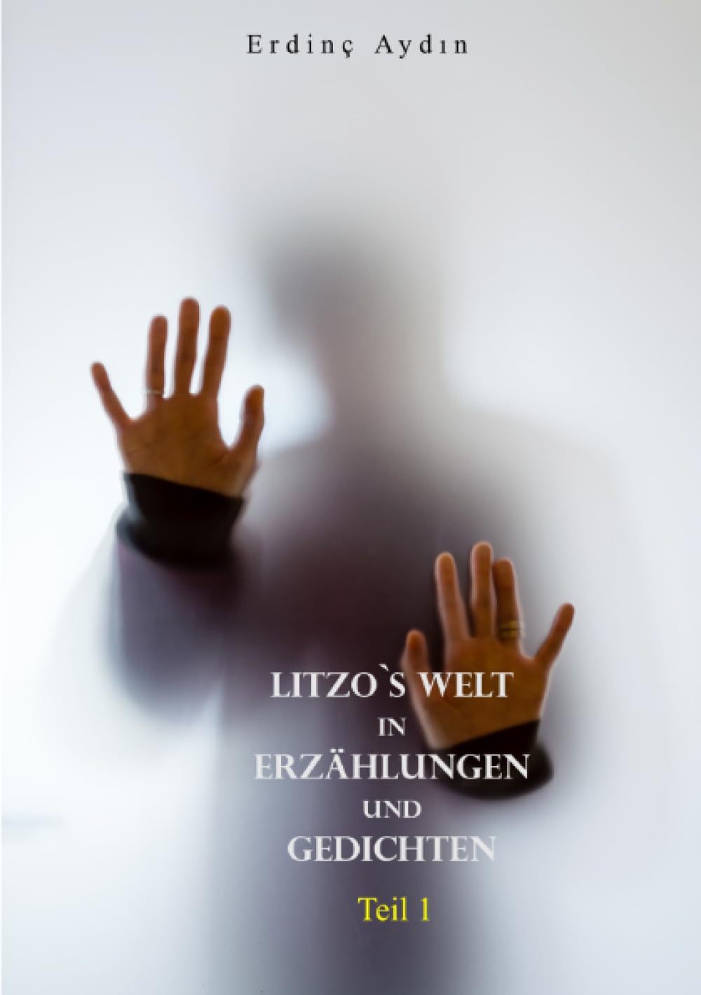 Litzo`s Welt in Erzählungen und Gedichten: Teil 1 (Kurzgeschichten und Gedichte von Erdinç Aydın) Essays & Short Stories