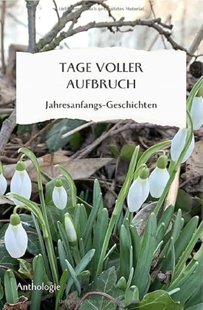 Monatsgeschichten / TAGE VOLLER AUFBRUCH - Jahresanfangsgeschichten: Geschichten, Gedichte, Gedanken zum Jahresanfang Poetry
