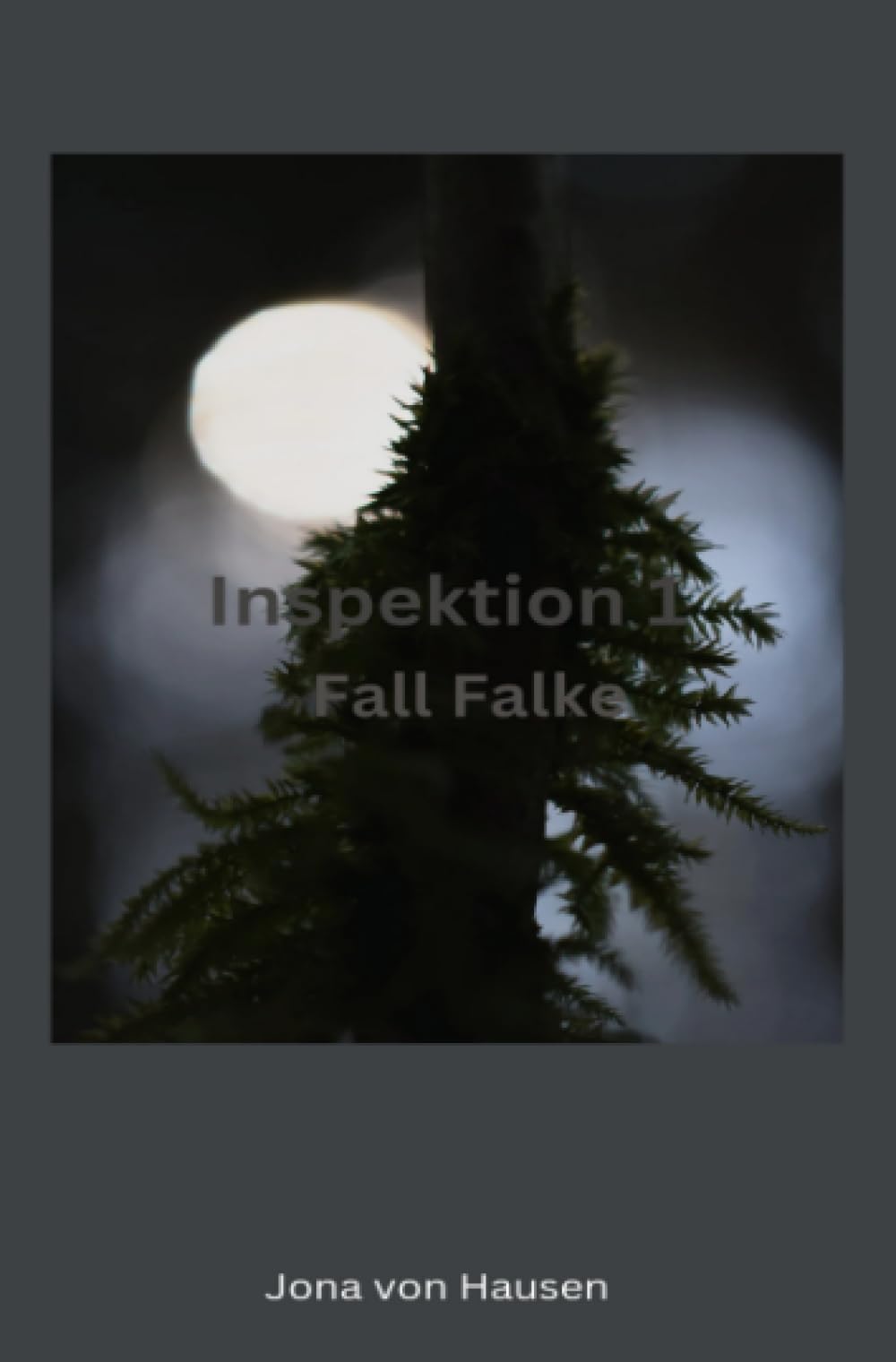 Inspektion 1 - Fall Falke: DE Drama