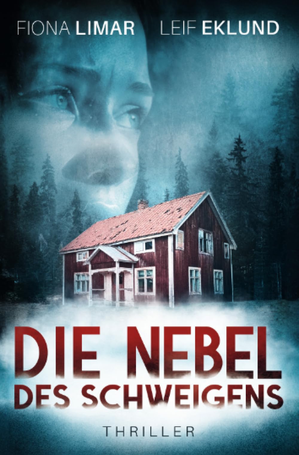 Die Nebel des Schweigens: Schwedenthriller Action & Adventure