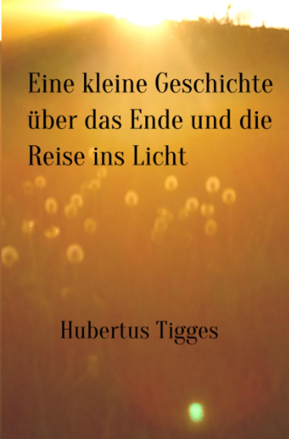 Eine kleine Geschichte über das Ende und die Reise ins Licht Religion & Esotericism