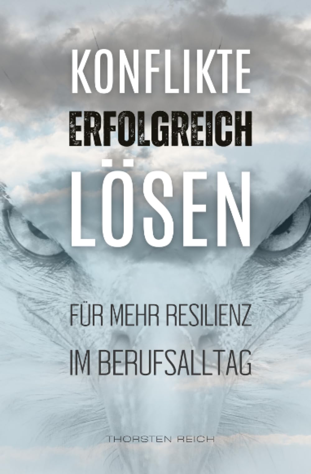 Konflikte erfolgreich lösen: Für mehr Resilienz im Berufsalltag Business, Finance & Career