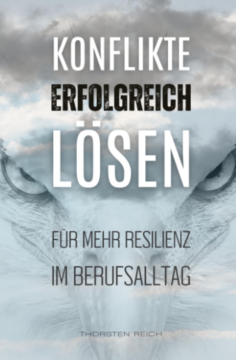 Konflikte erfolgreich lösen: Für mehr Resilienz im Berufsalltag Business, Finance & Career