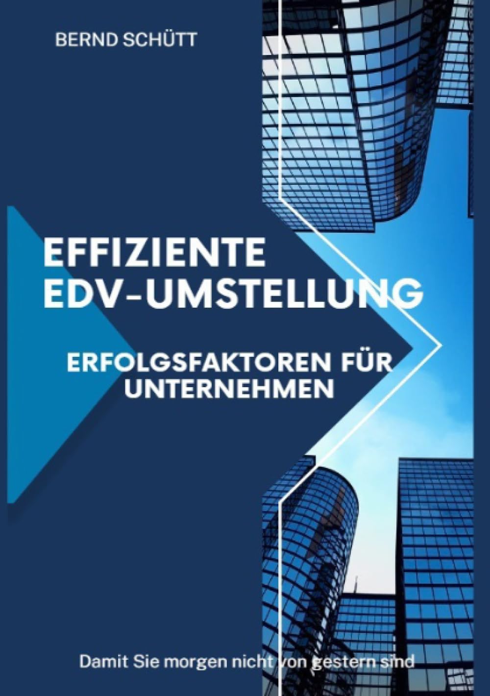Effiziente EDV-Umstellung: Leitfaden zur IT-Ausstattung kleinerer Unternehmen und Startups Business, Finance & Career